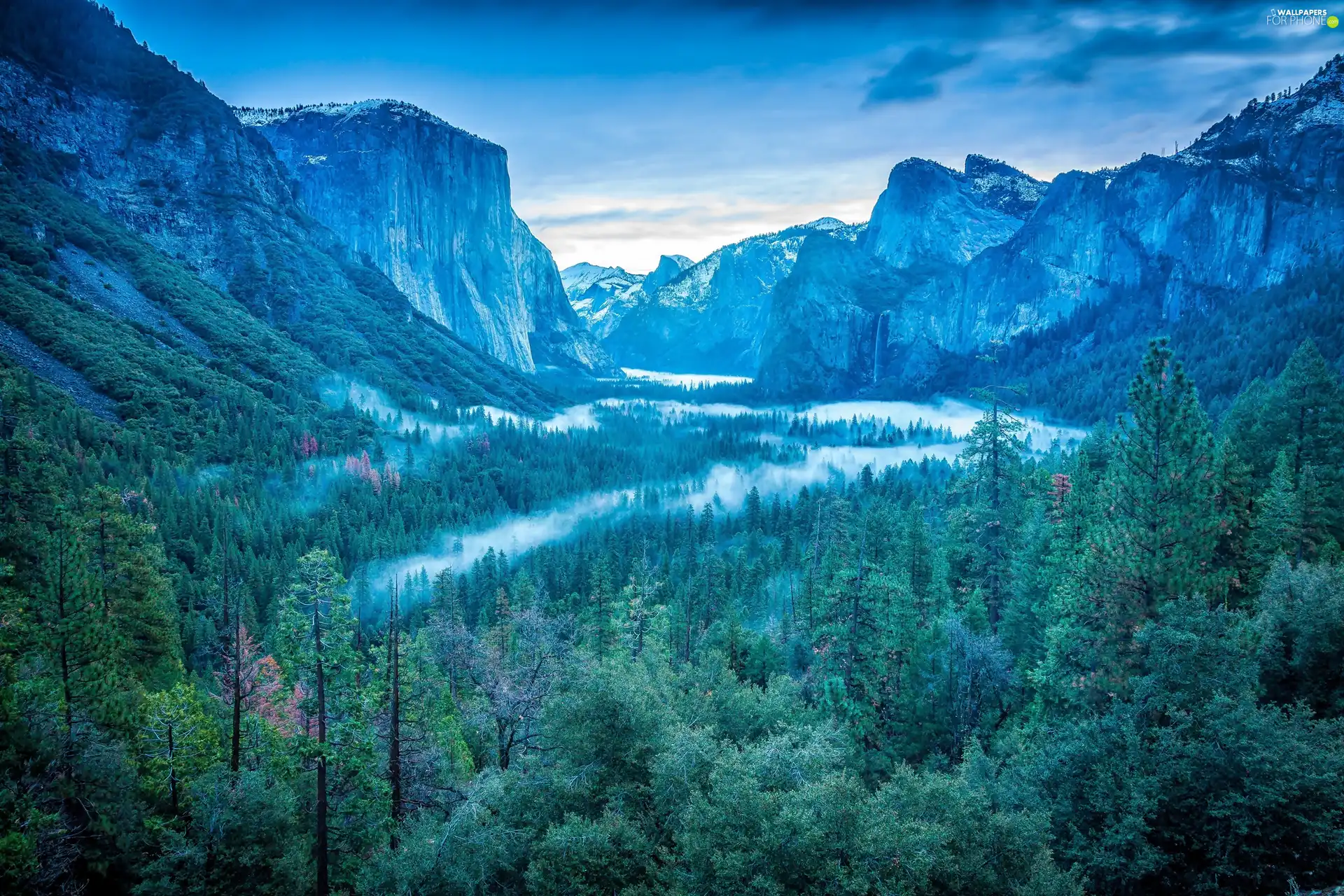 Fog, Mountains, woods