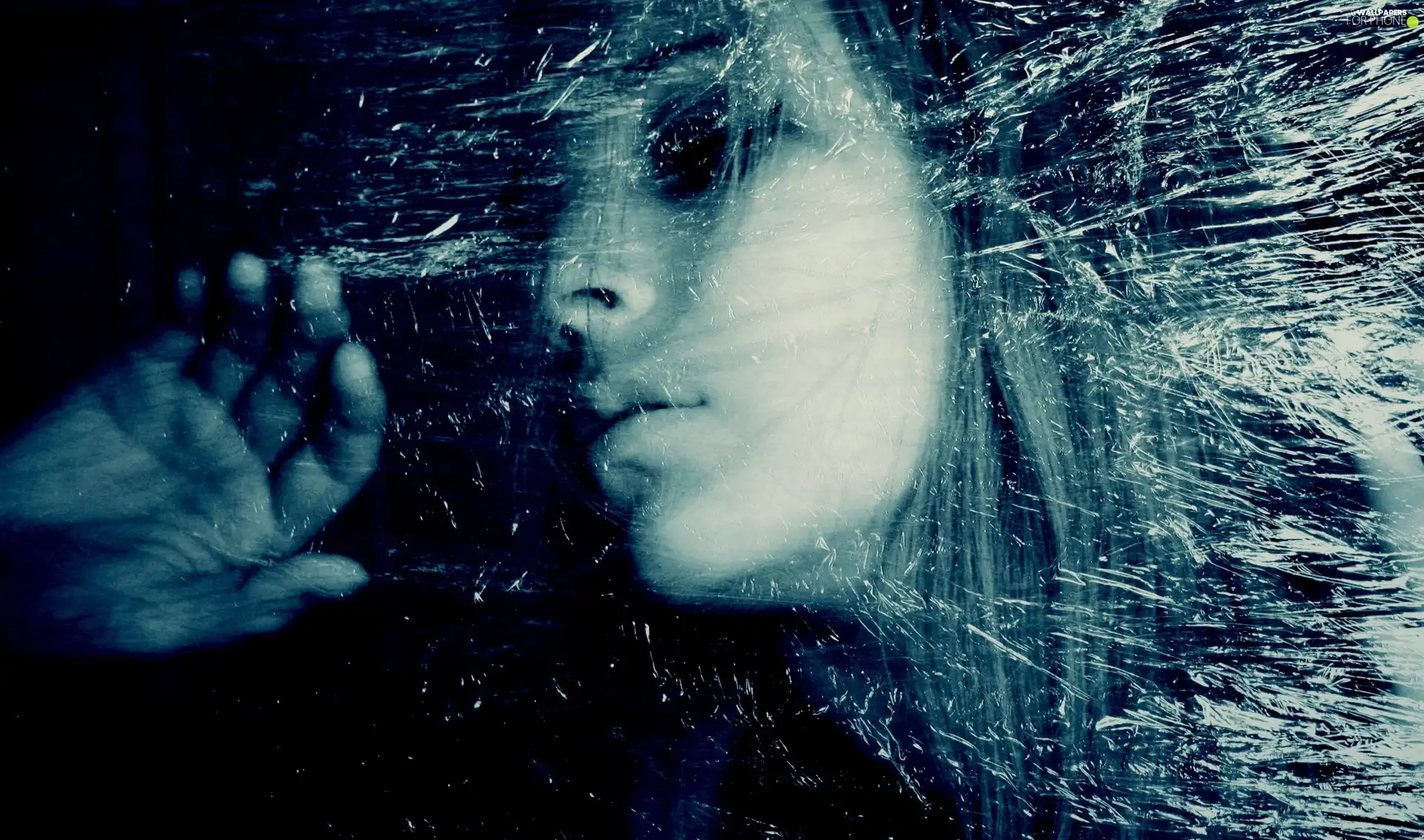 foil, Women, face