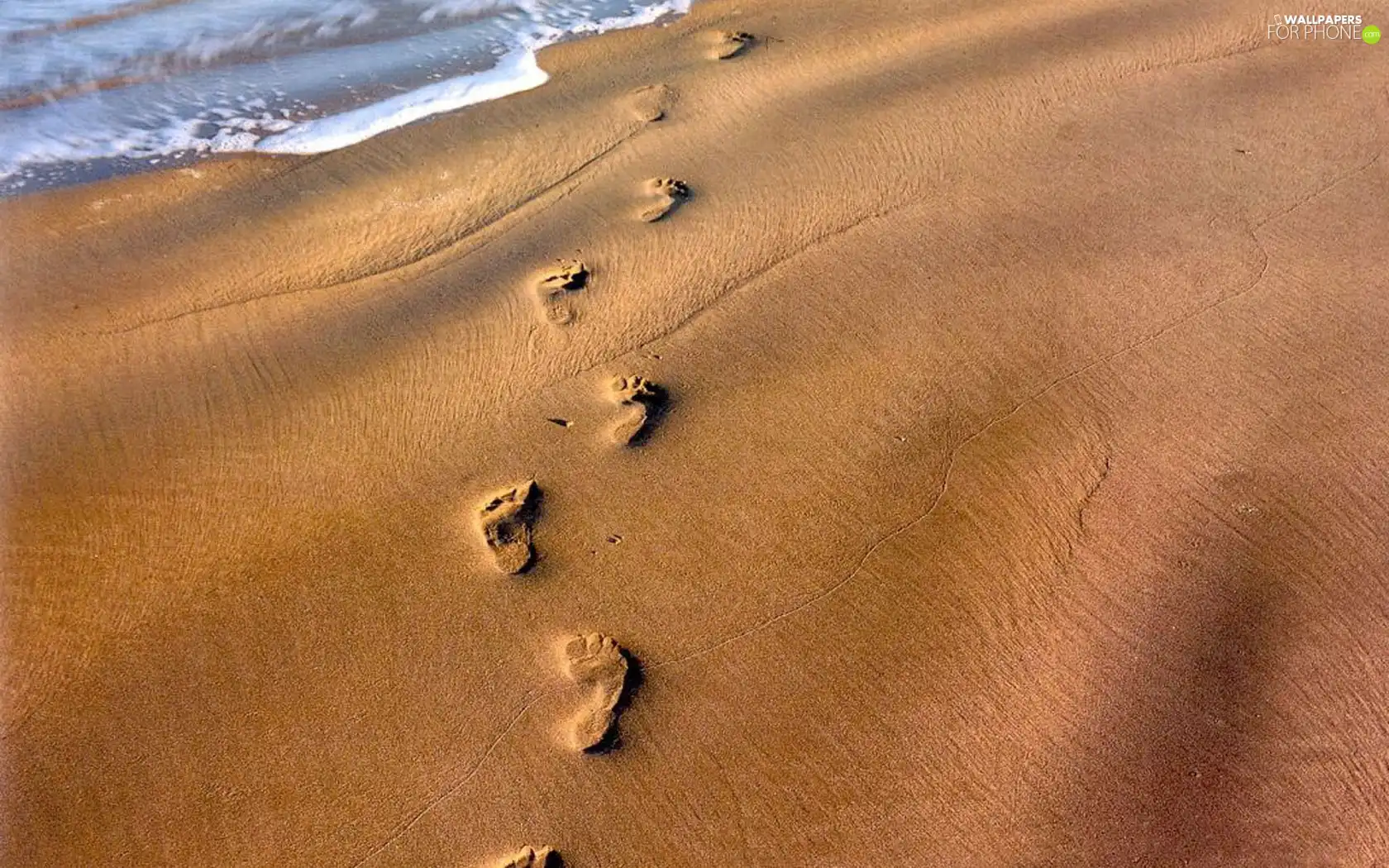 Foot, Beaches, Sand