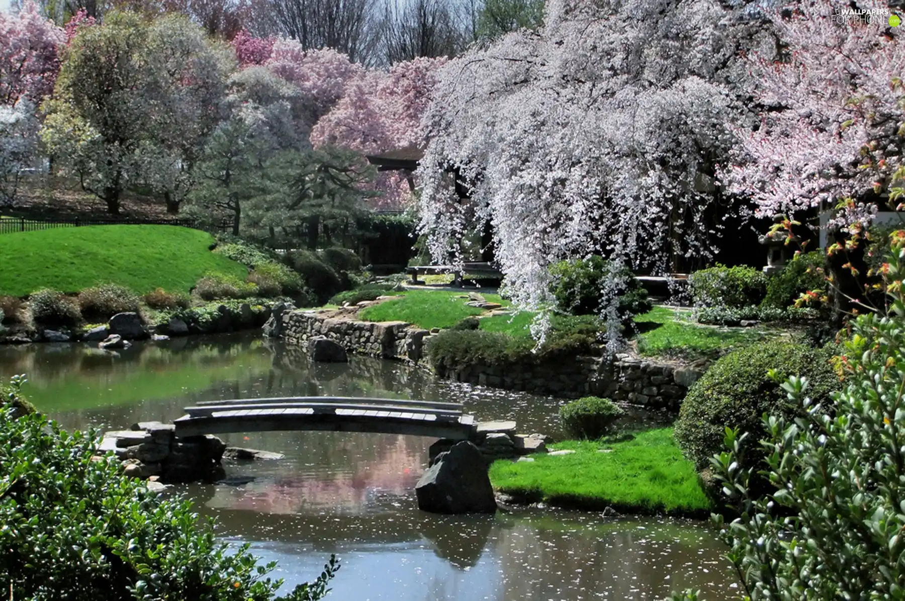 footbridge, Garden, brook