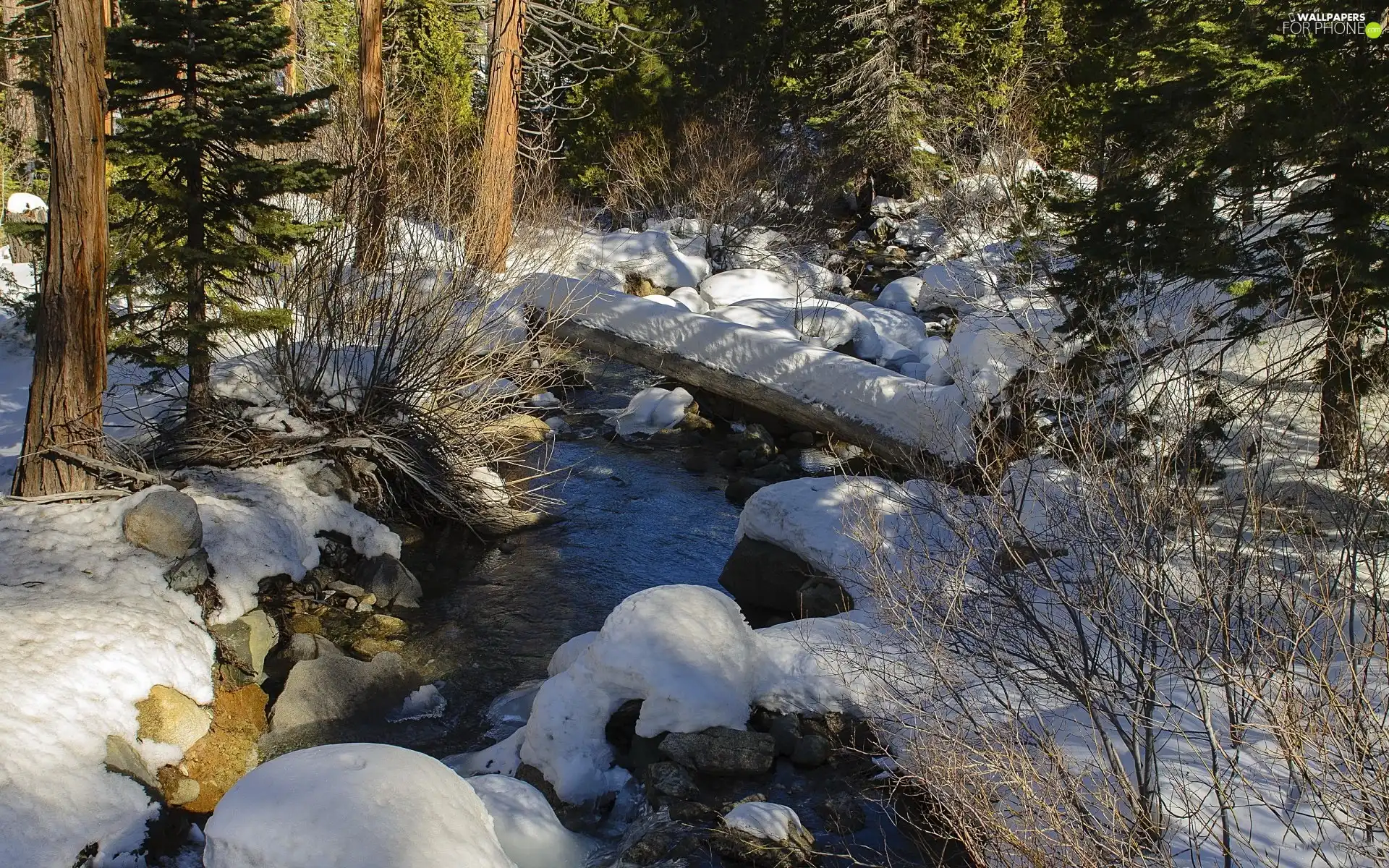 winter, stream, footbridge, forest