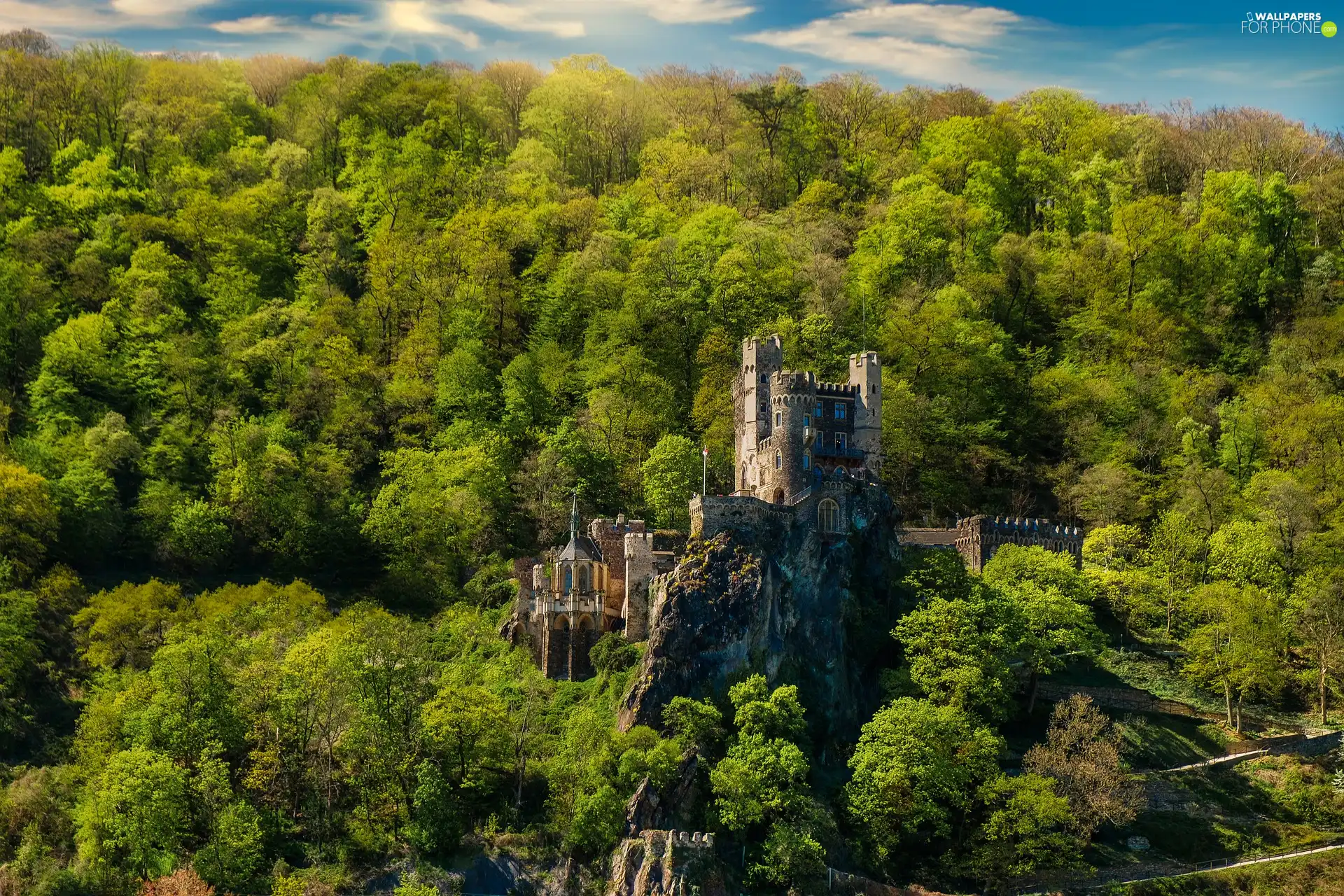 trees, Rheinstein Castle, forest, Germany, viewes, Rocks