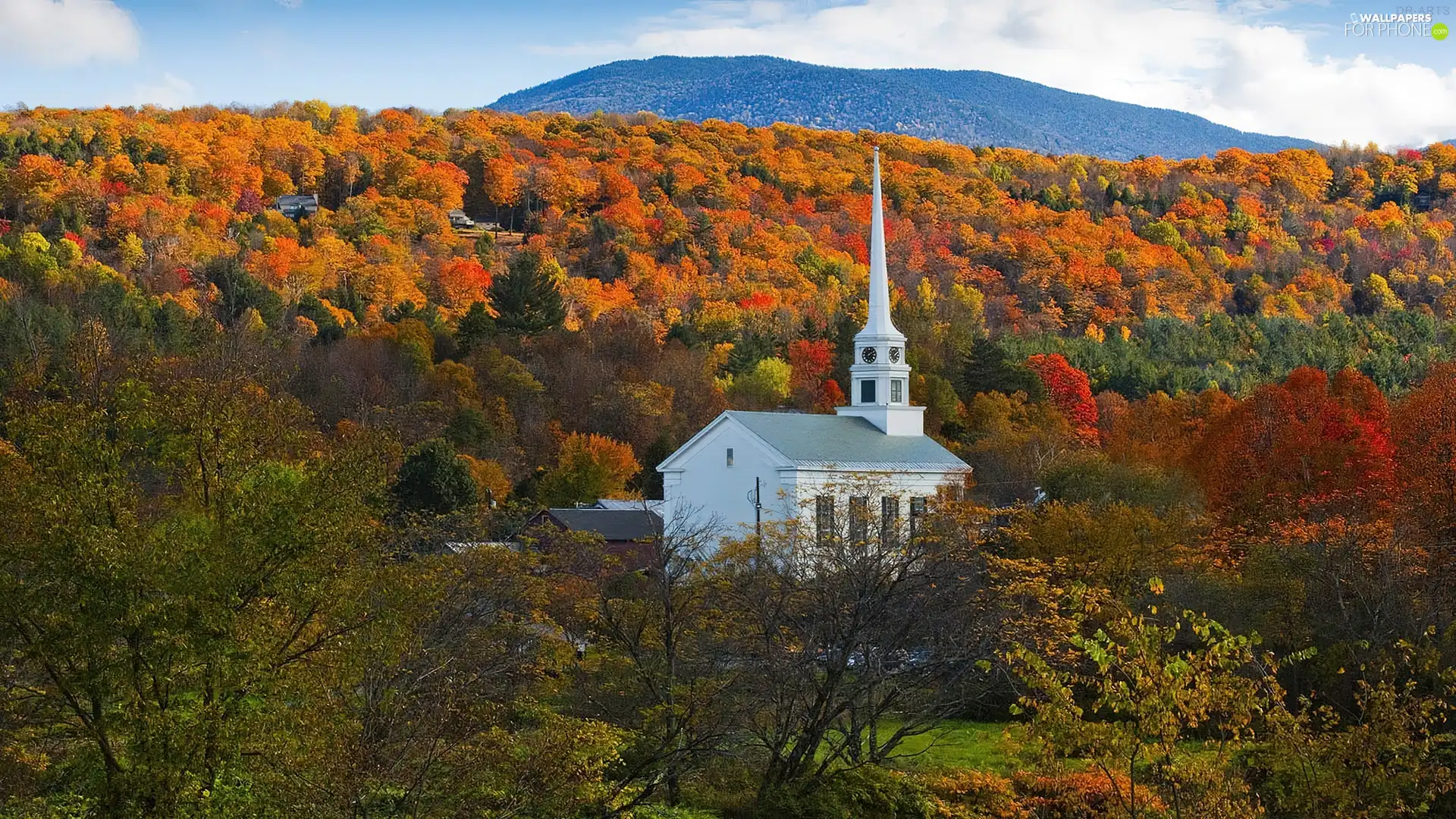 forest, autumn, church