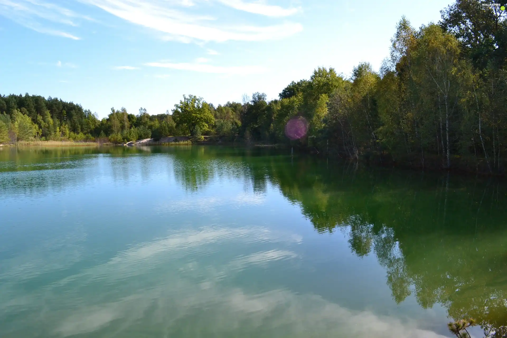 forest, clouds, Green, water, lake