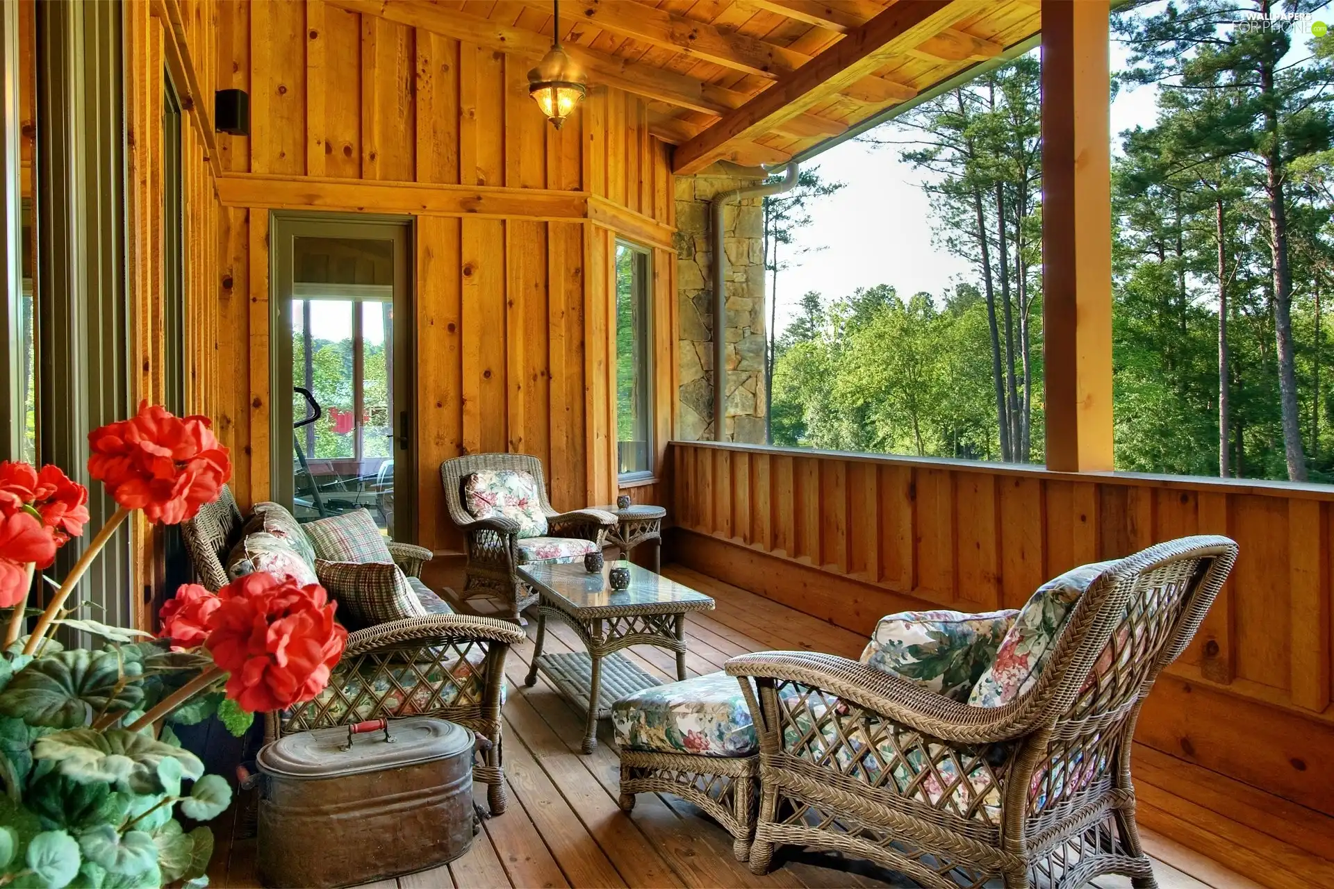 forest, veranda, Flowers