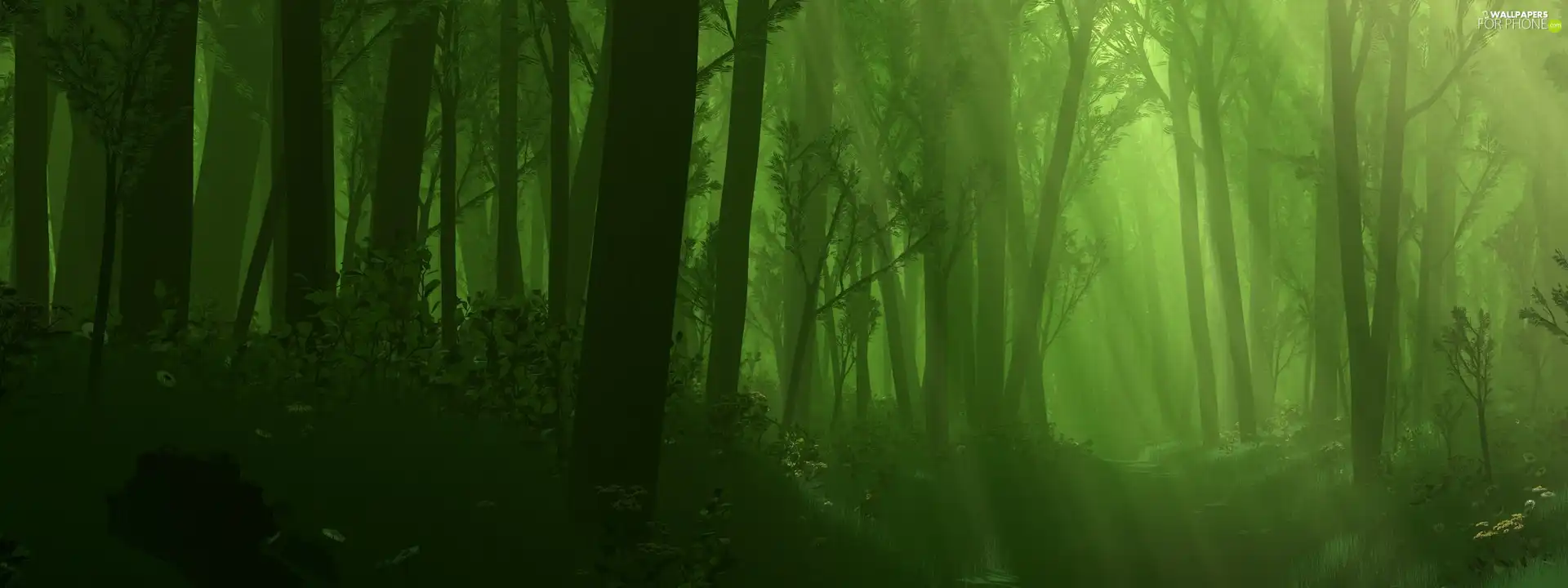 forest, Green, foggy