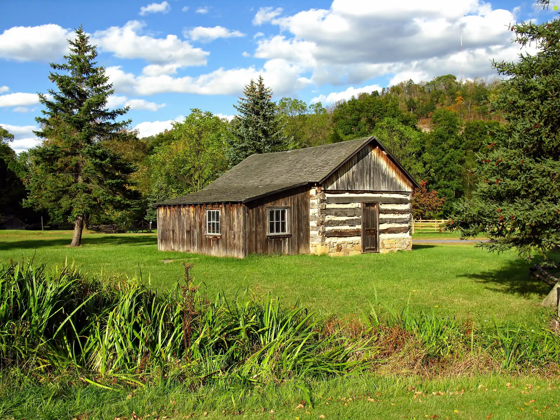 house, Meadow, forest, wooden