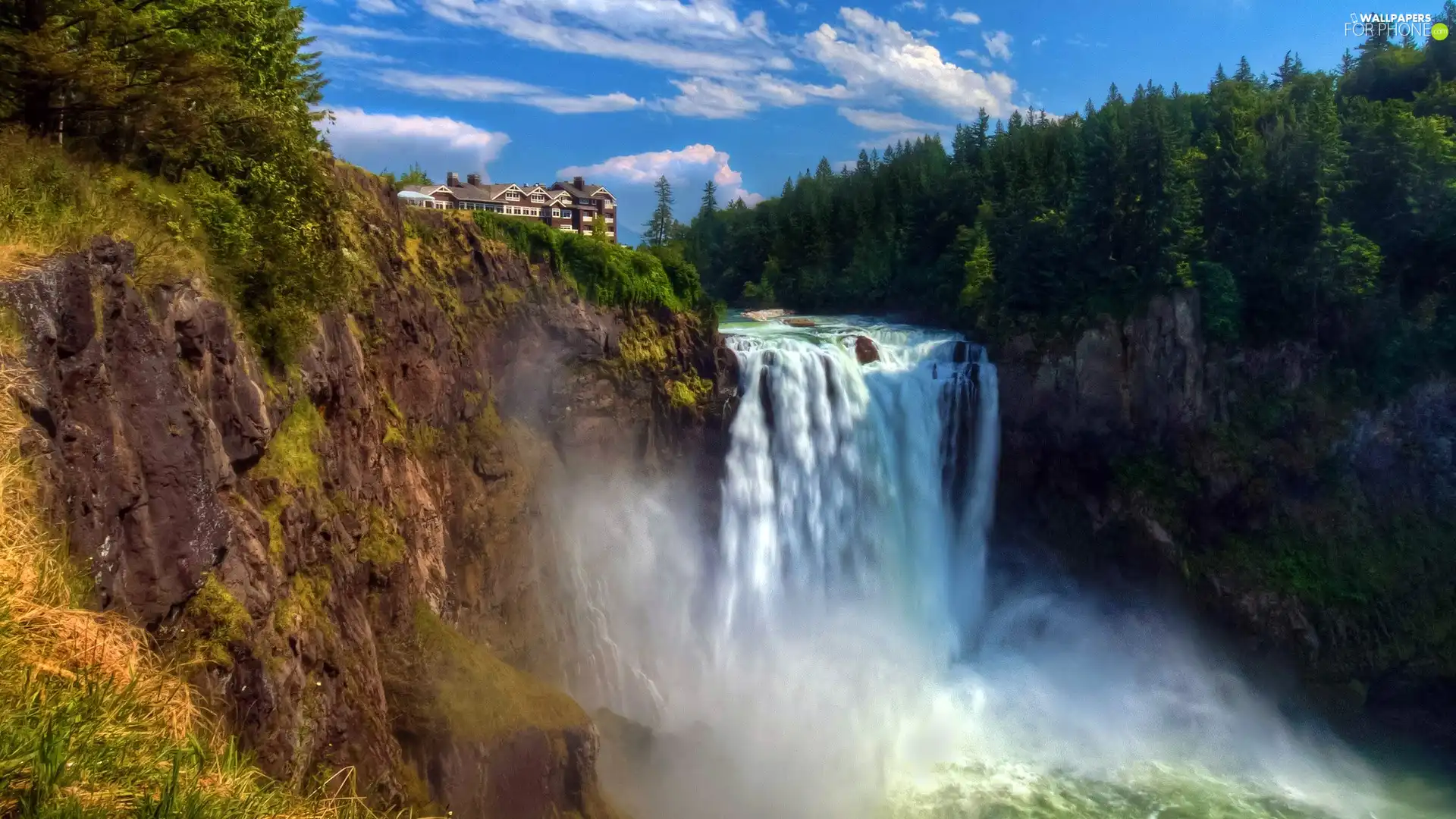 forest, waterfall, house