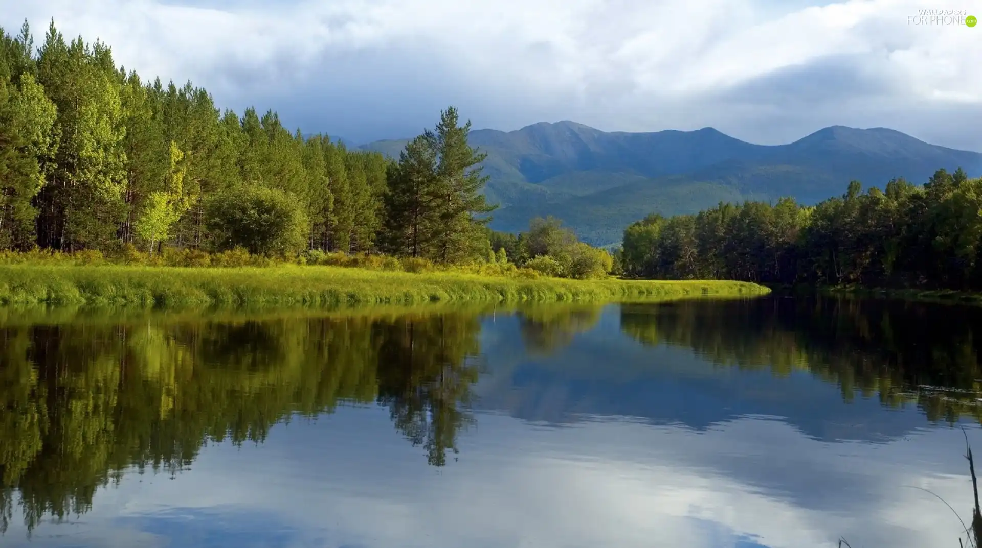 forest, Mountains, lake