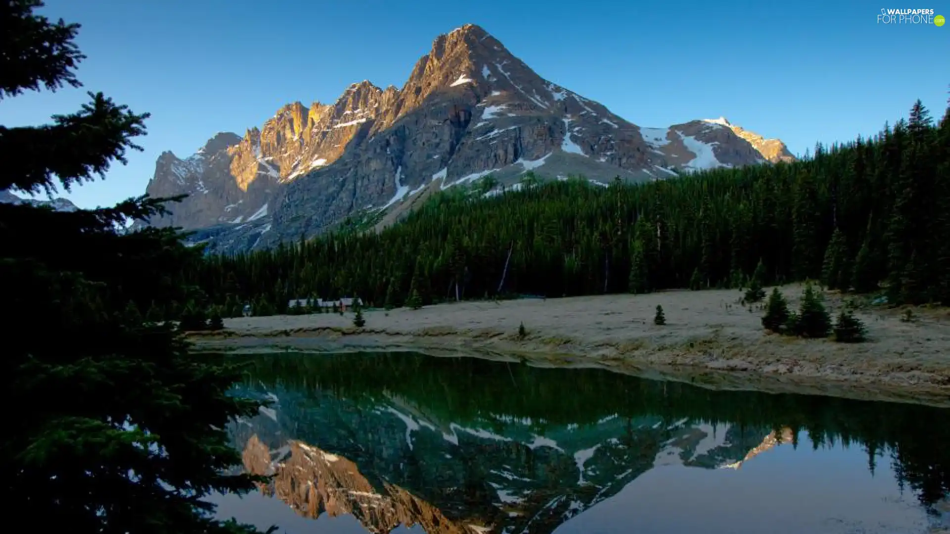 forest, Mountains, lake