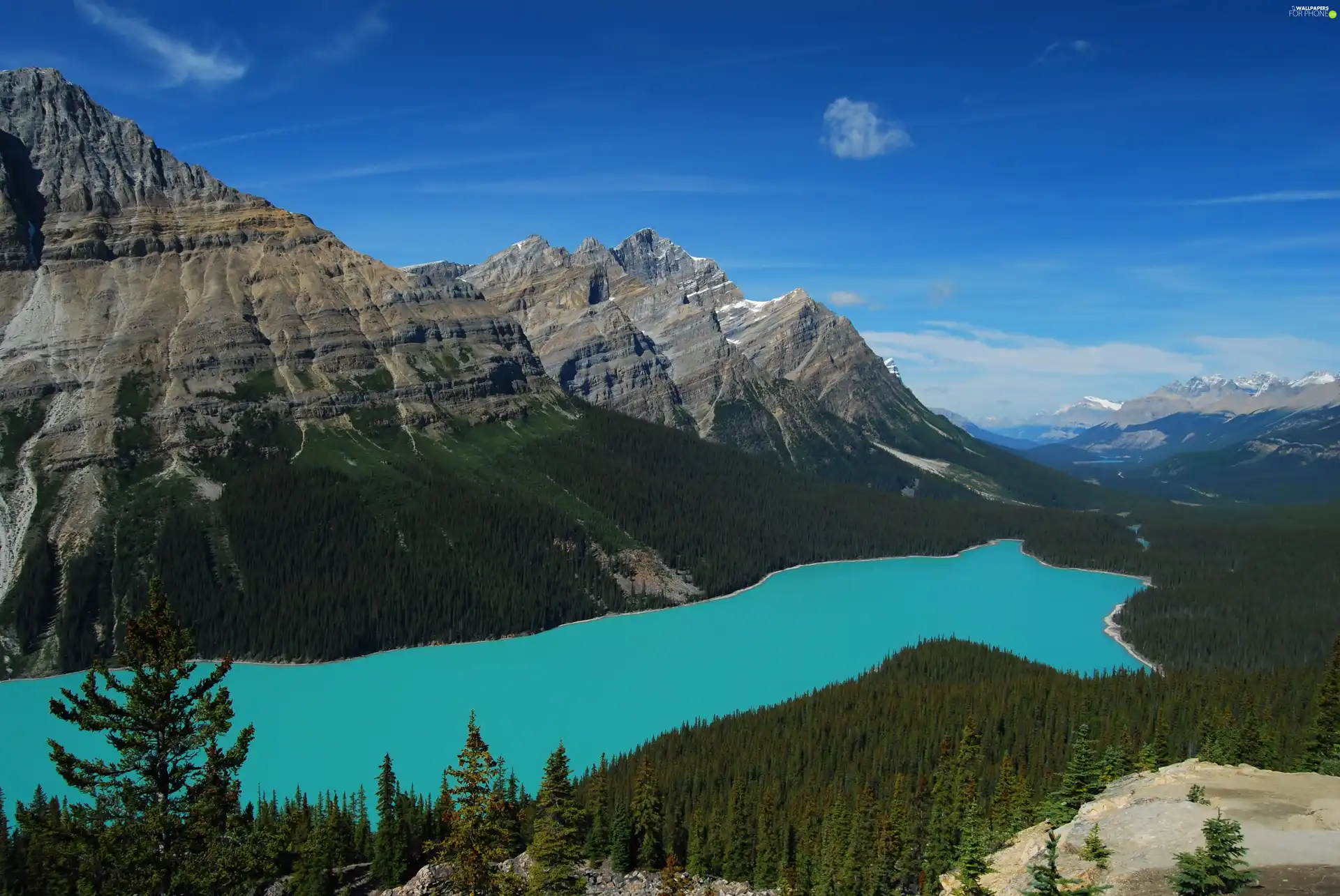 forest, Mountains, lake