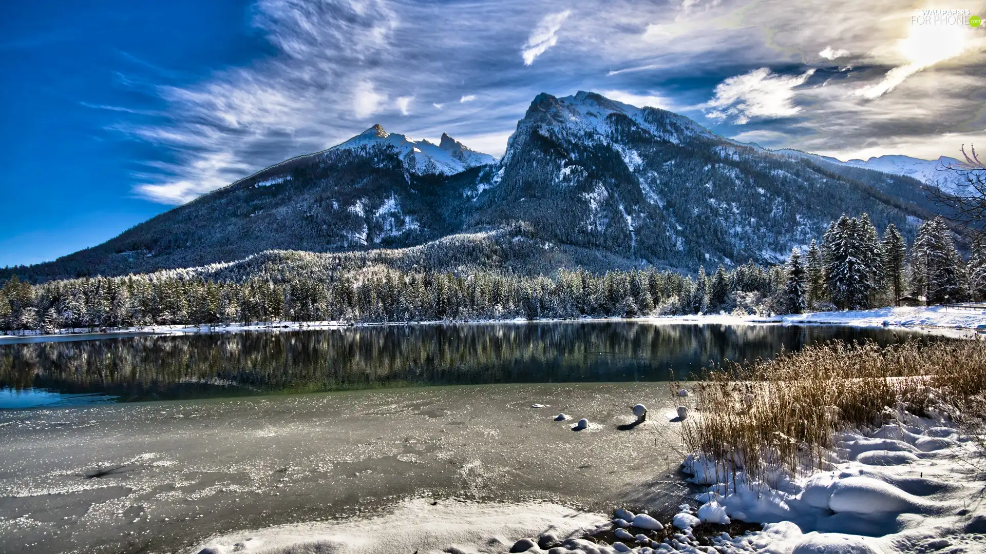 forest, lake, height, snow, Mountains