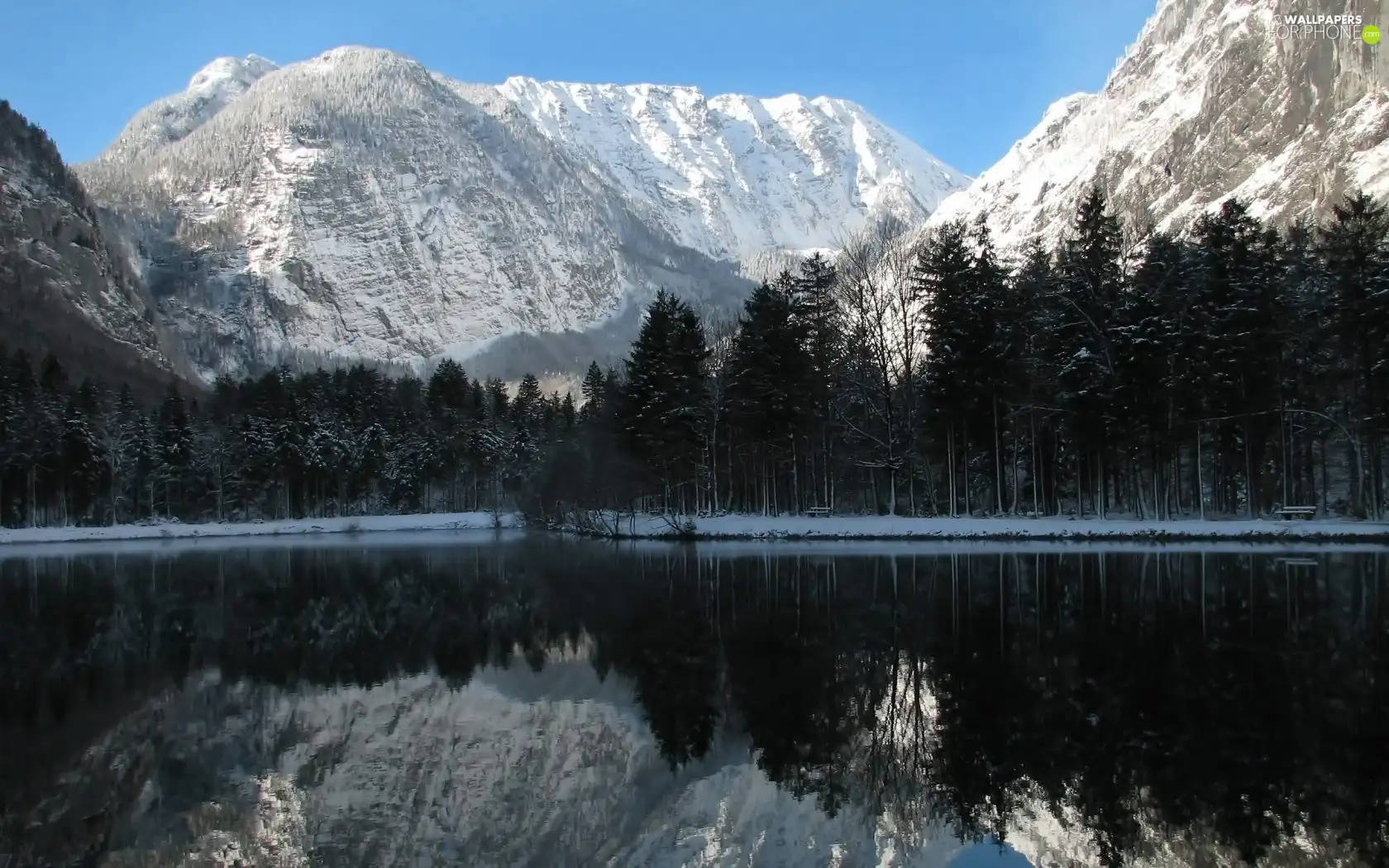 Mountains, lake, forest, snow