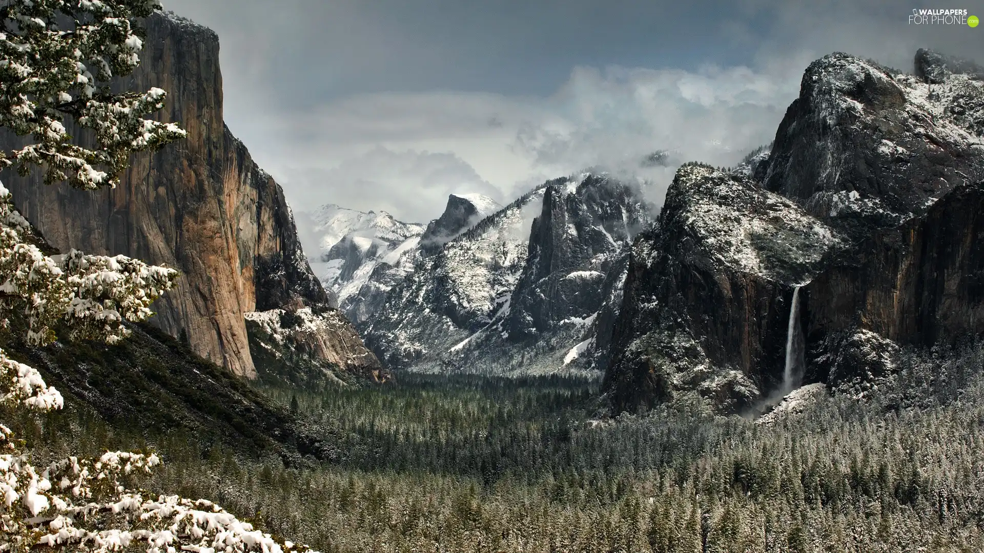 Mountains, snow, forest, height