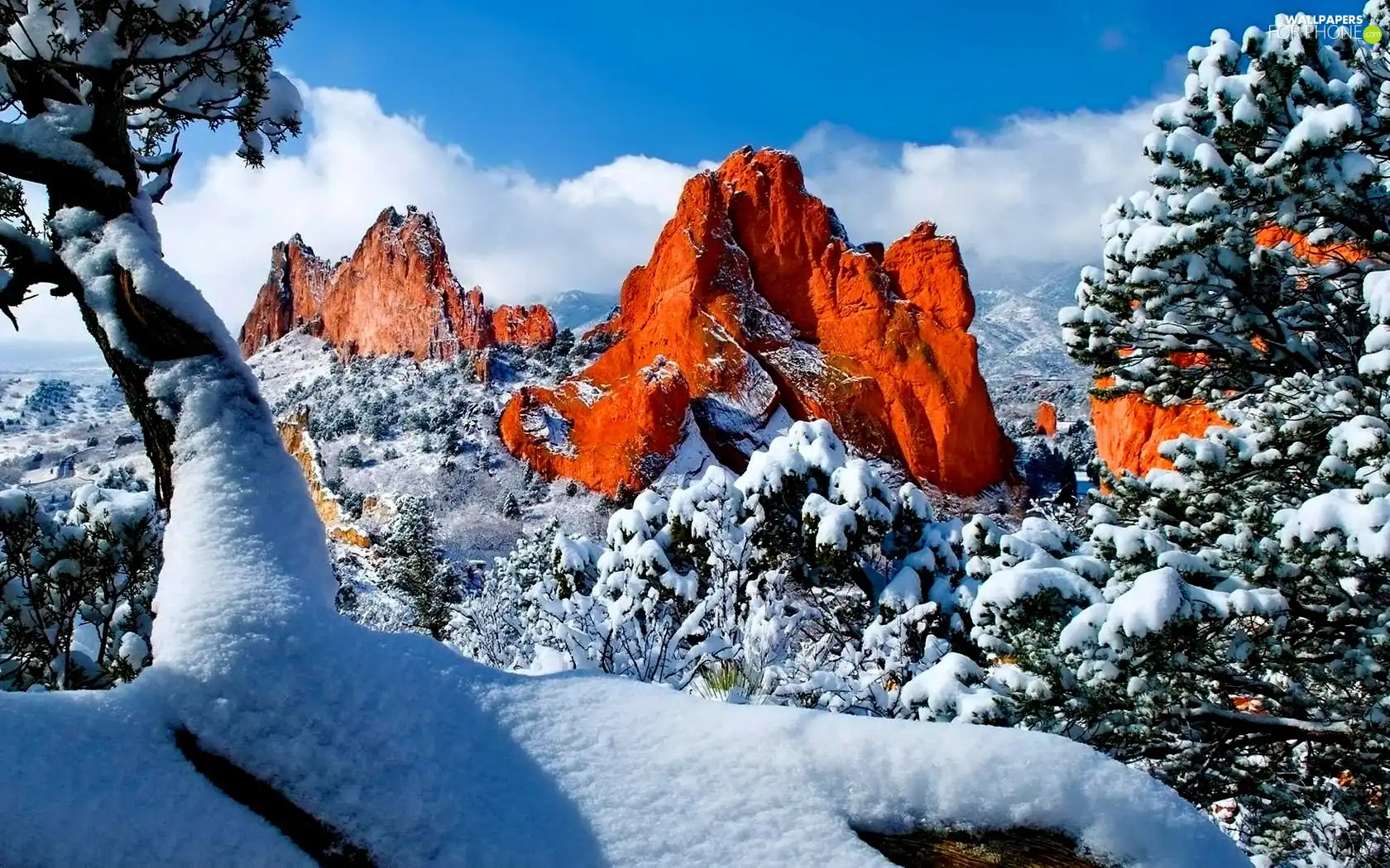 forest, winter, Mountains