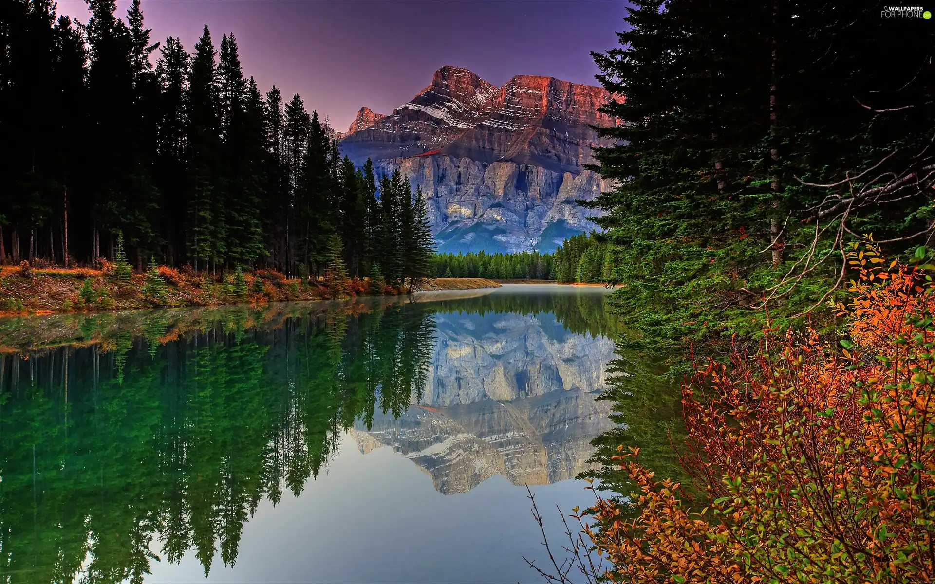 forest, Mountains, River