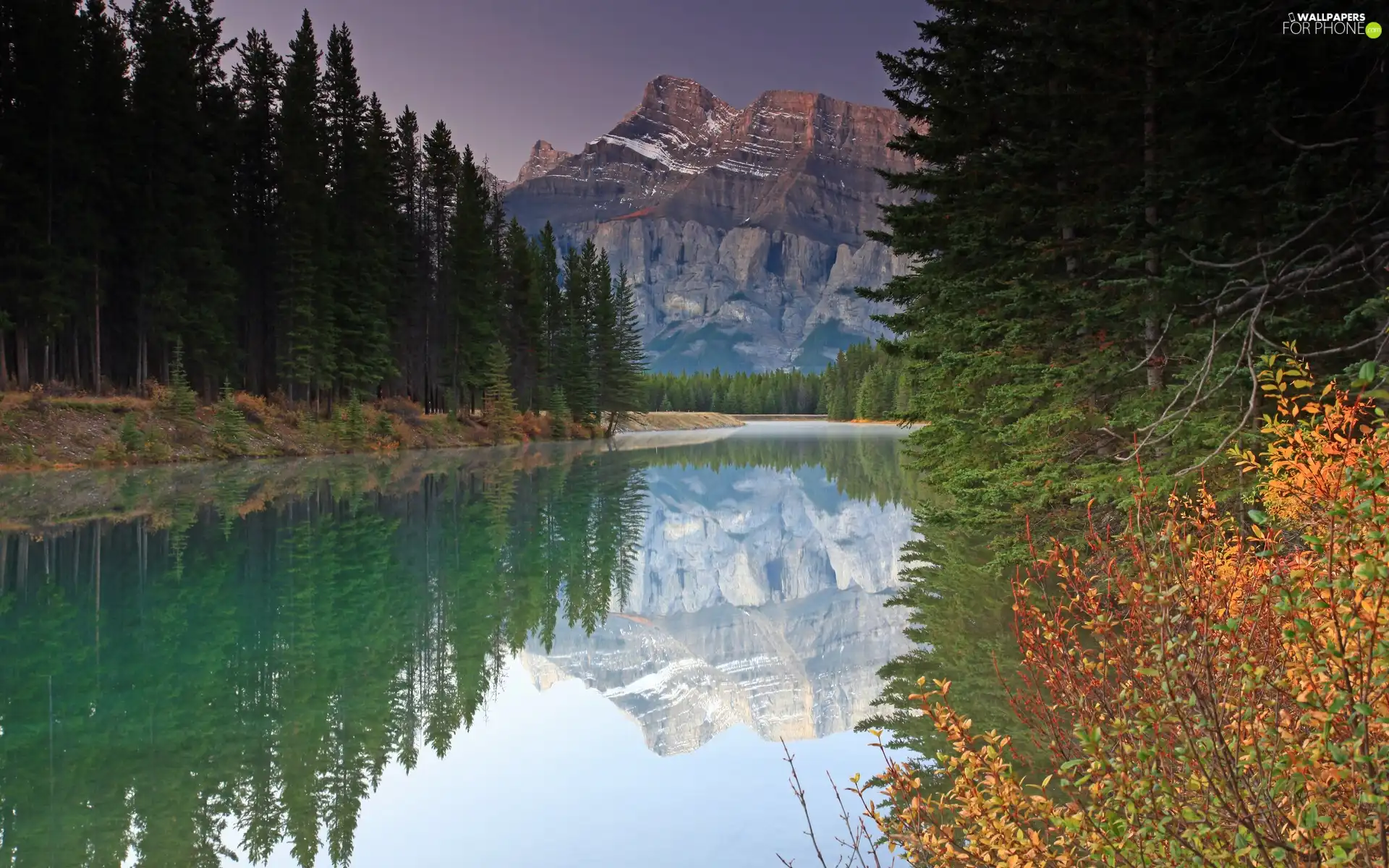 forest, Mountains, River