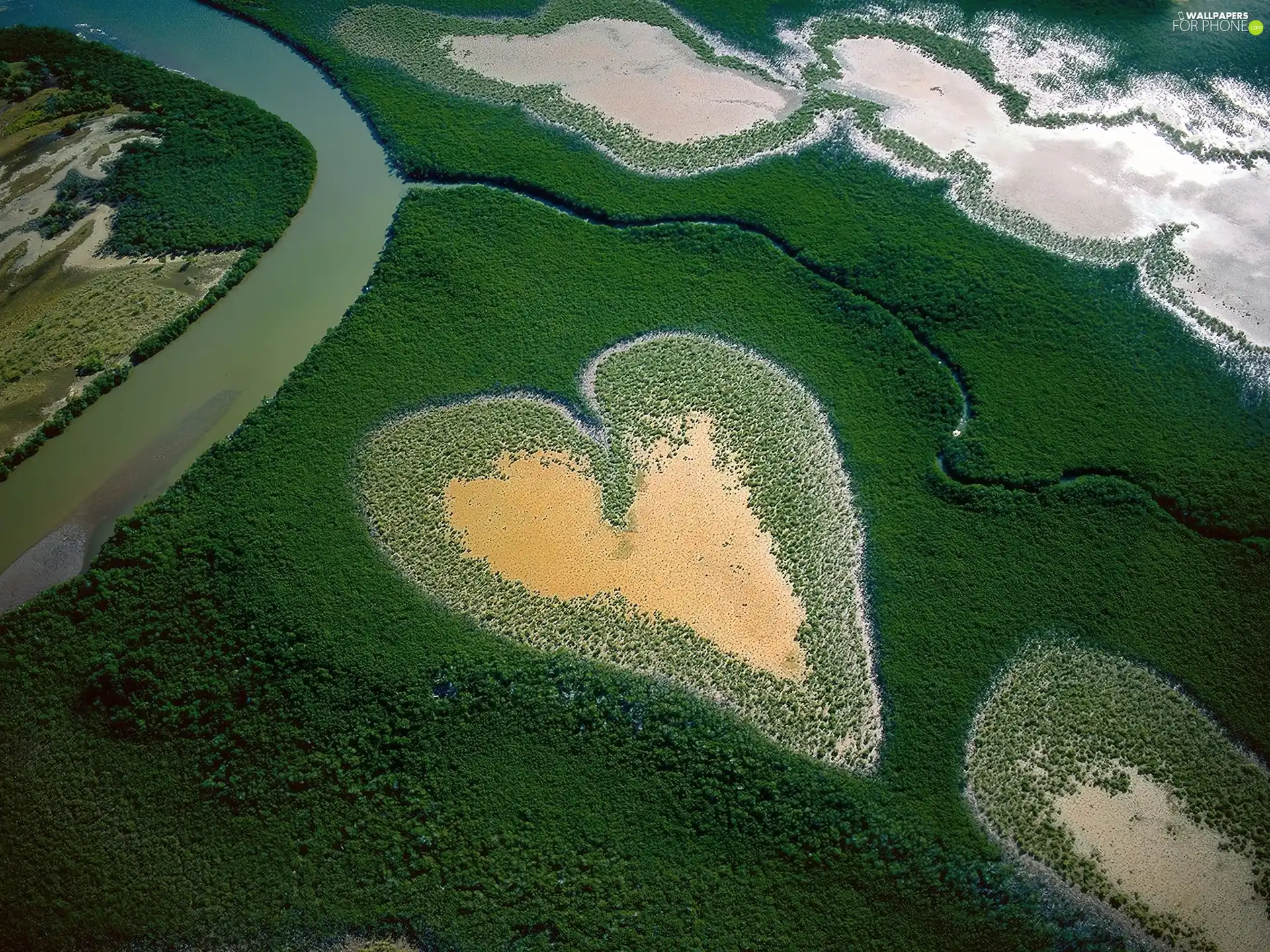 River, sand, forest, Heart