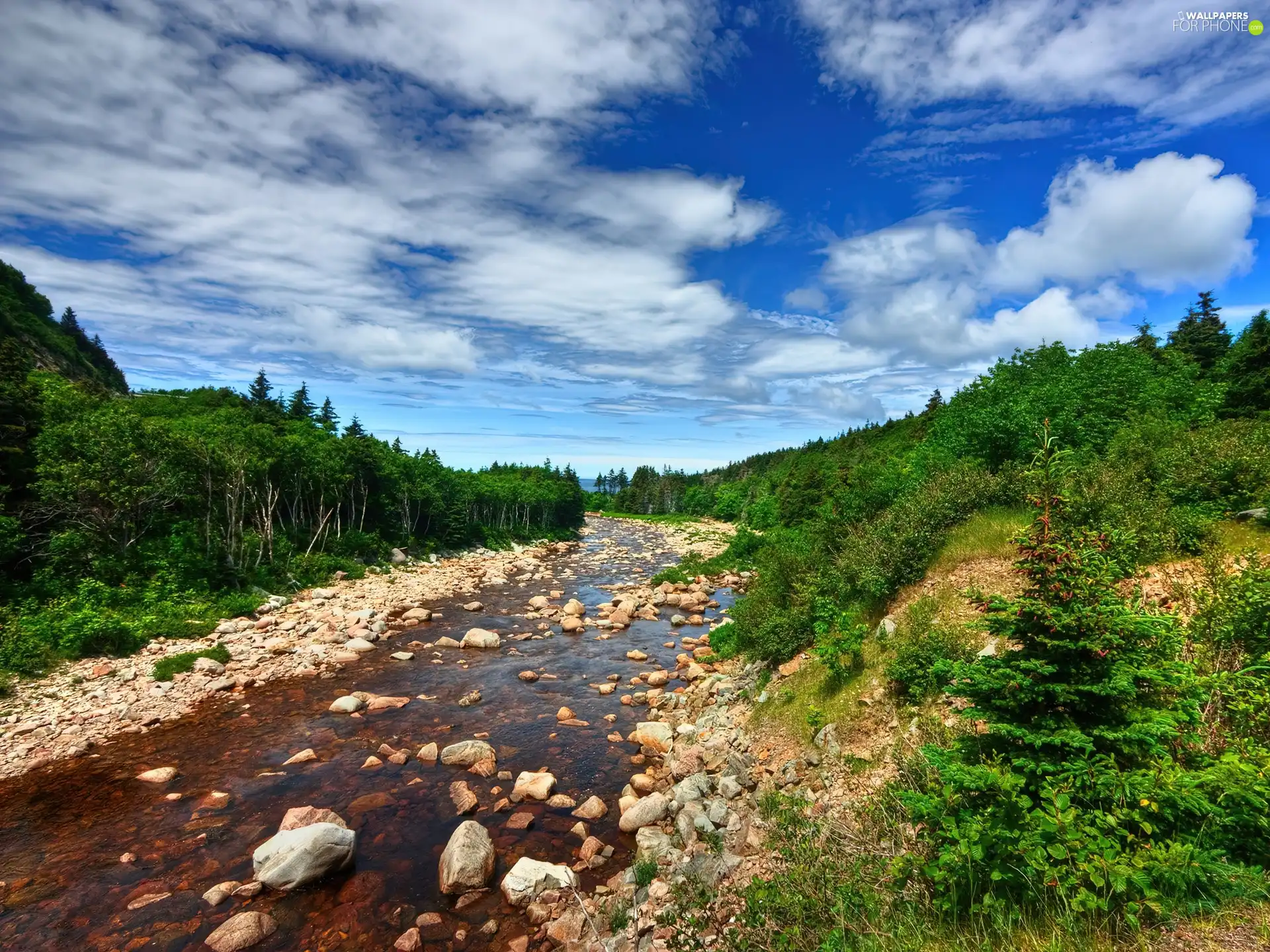 River, Stones, forest, rocks