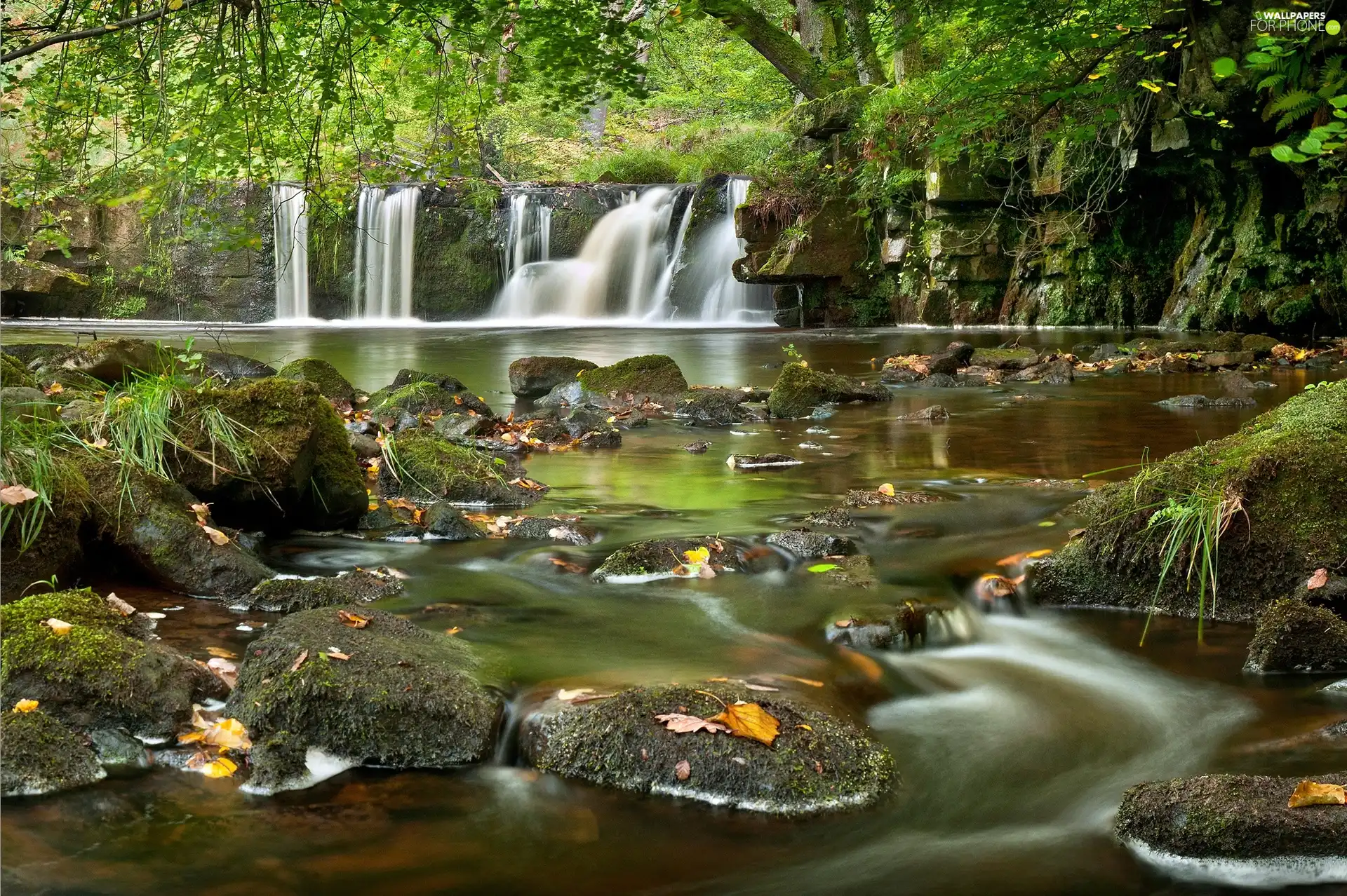 River, waterfall, forest, Stones