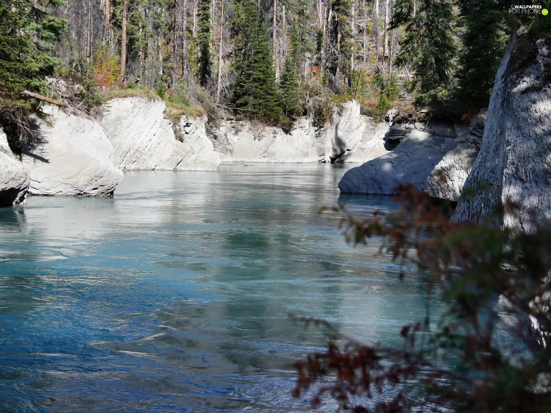 forest, lake, rocks