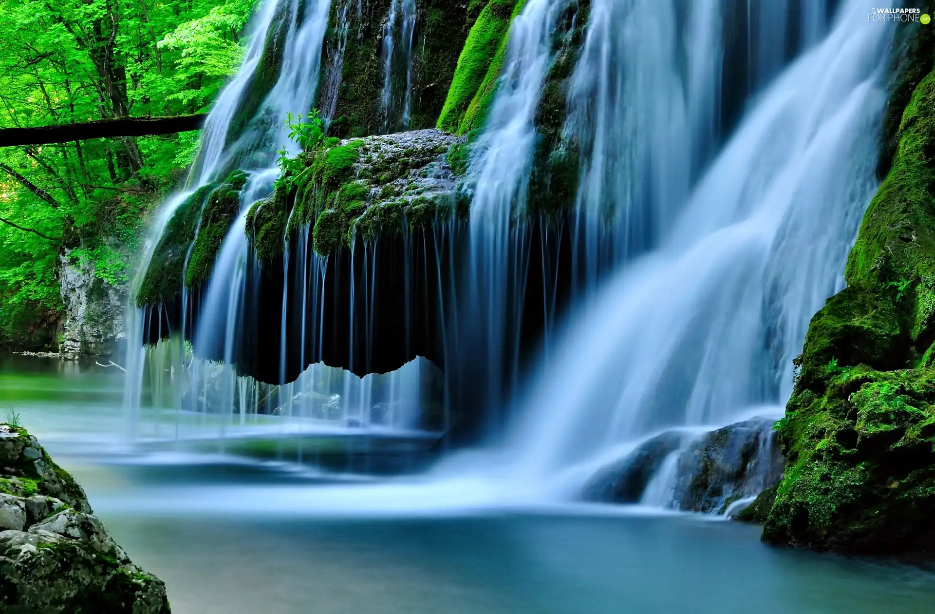 forest, waterfall, rocks