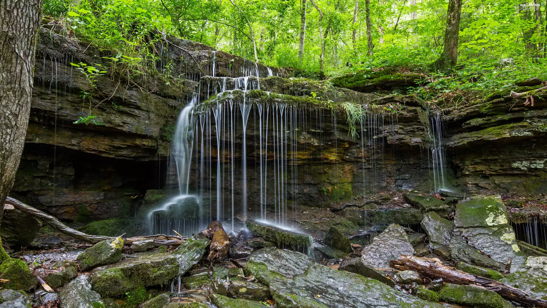 Stones, forest, Rocks, mossy, waterfall