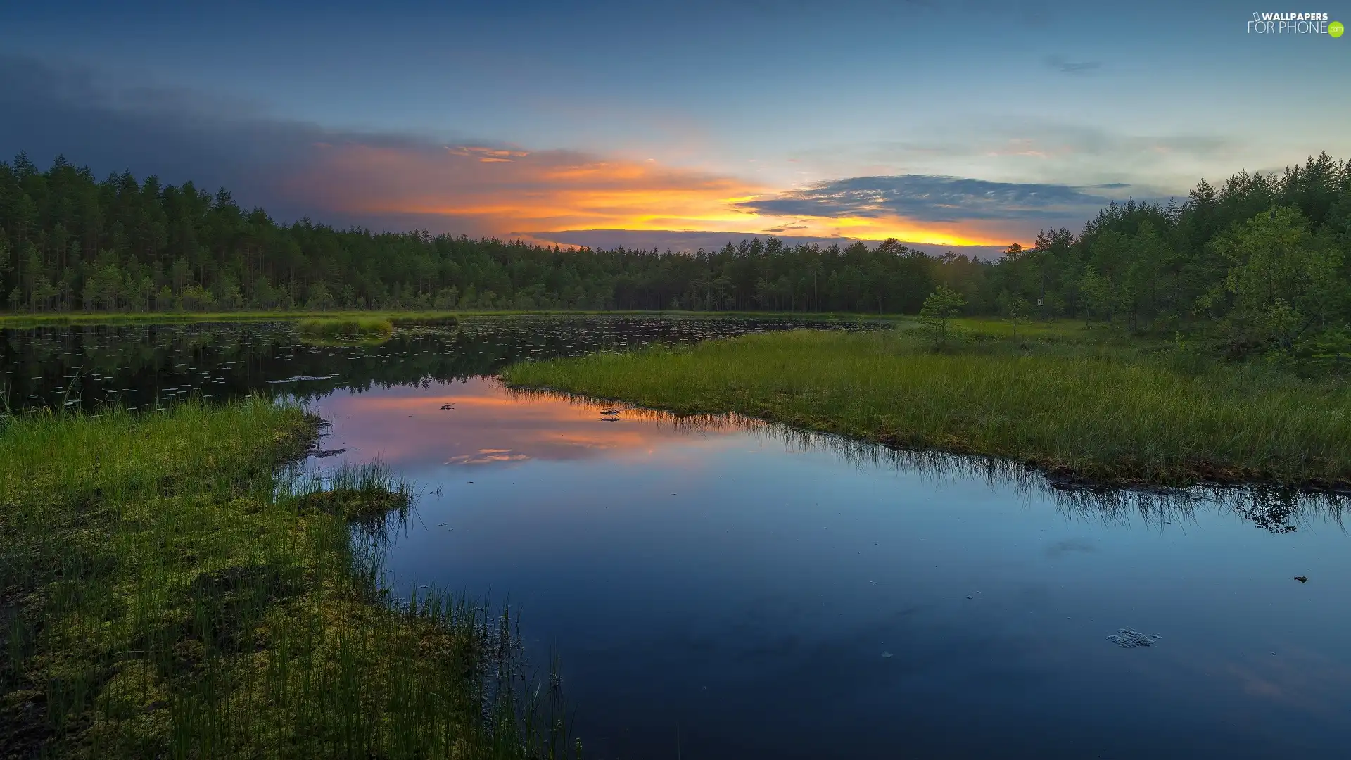 trees, viewes, lake, forest, Great Sunsets