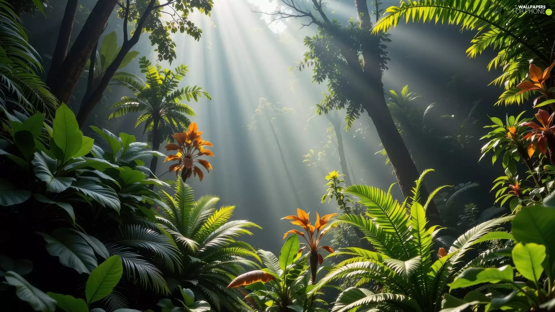 light breaking through sky, Ai, Flowers, Plants, forest