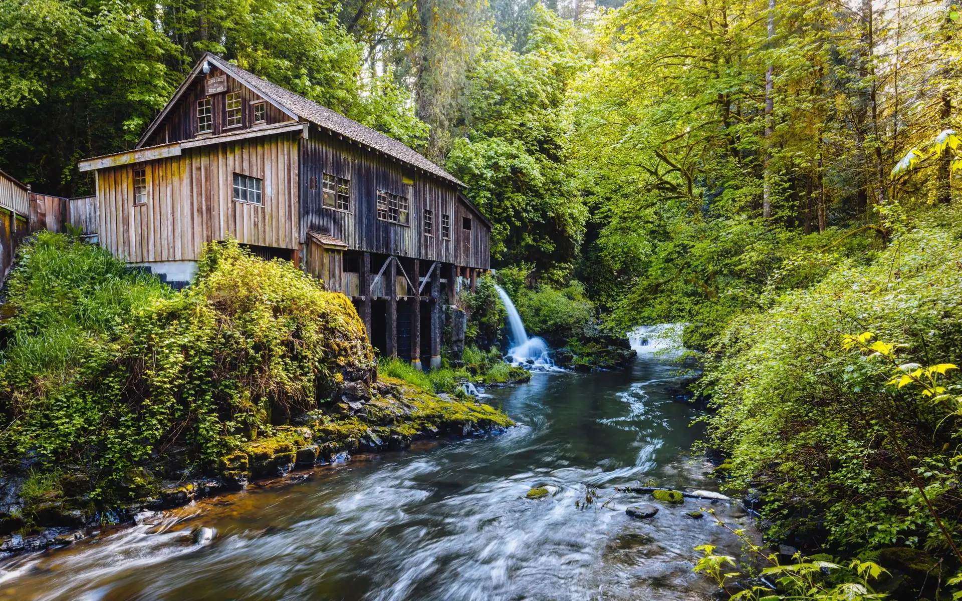 forest, USA, Windmill, River, Old car