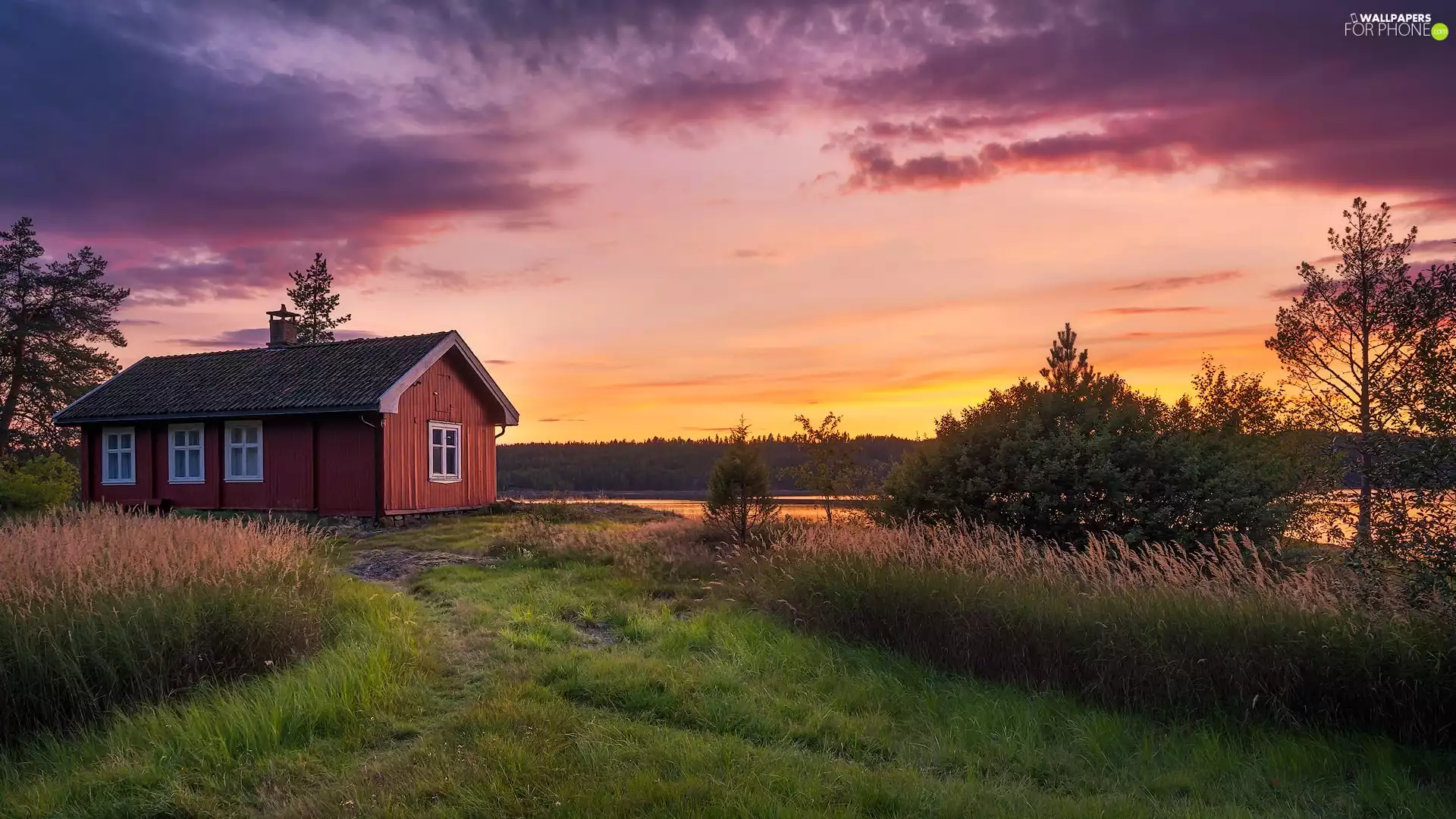 trees, viewes, Norway, house, Ringerike Municipality, forest, Vaeleren Lake, Great Sunsets