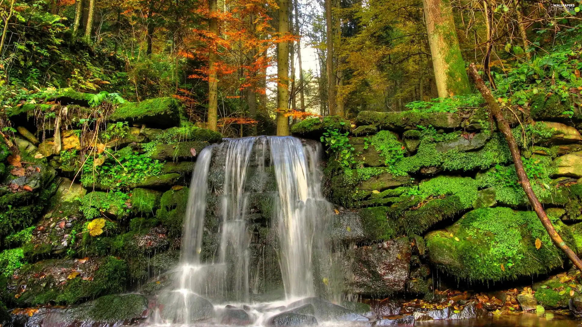 waterfall, forest