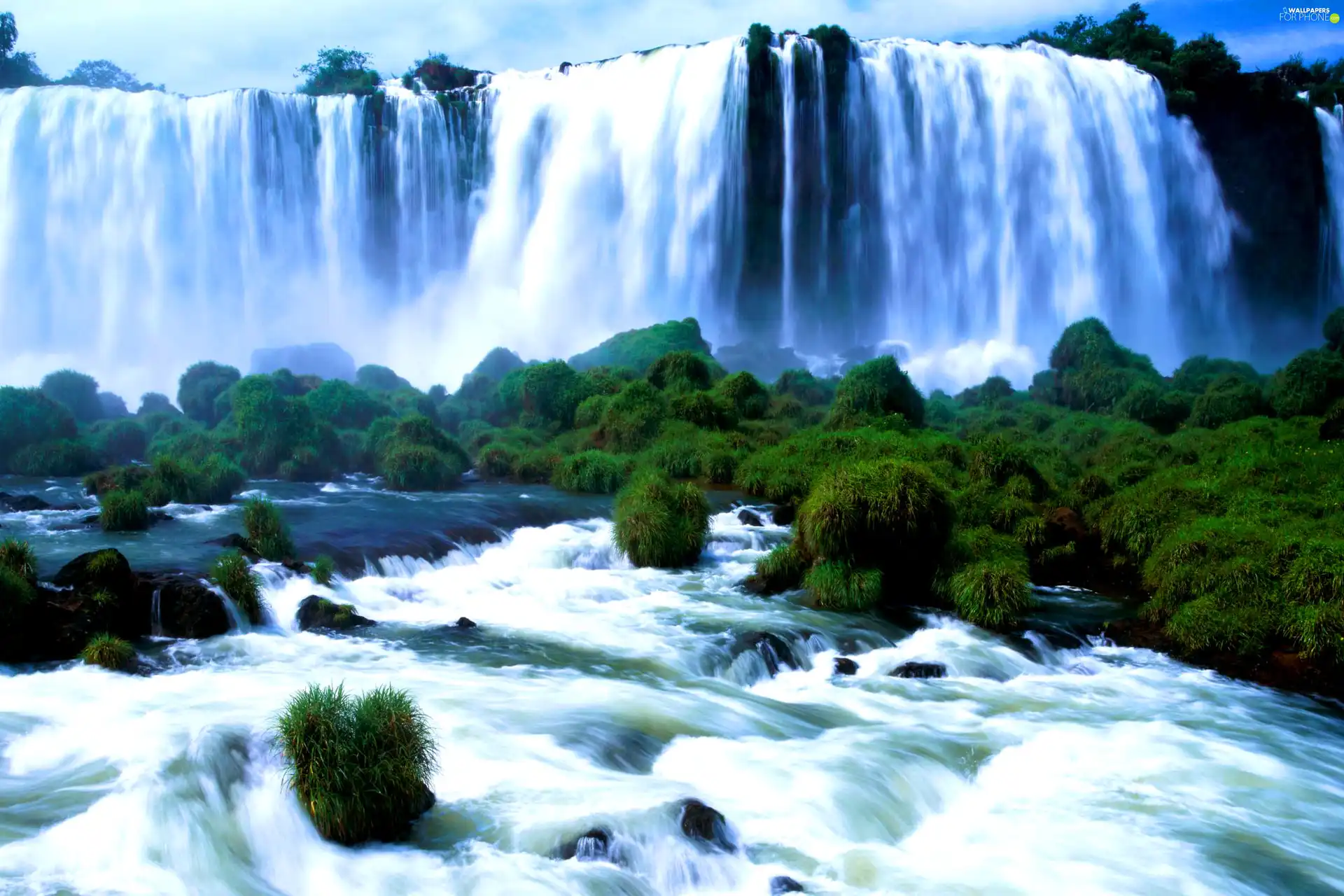 waterfall, current, forest, River