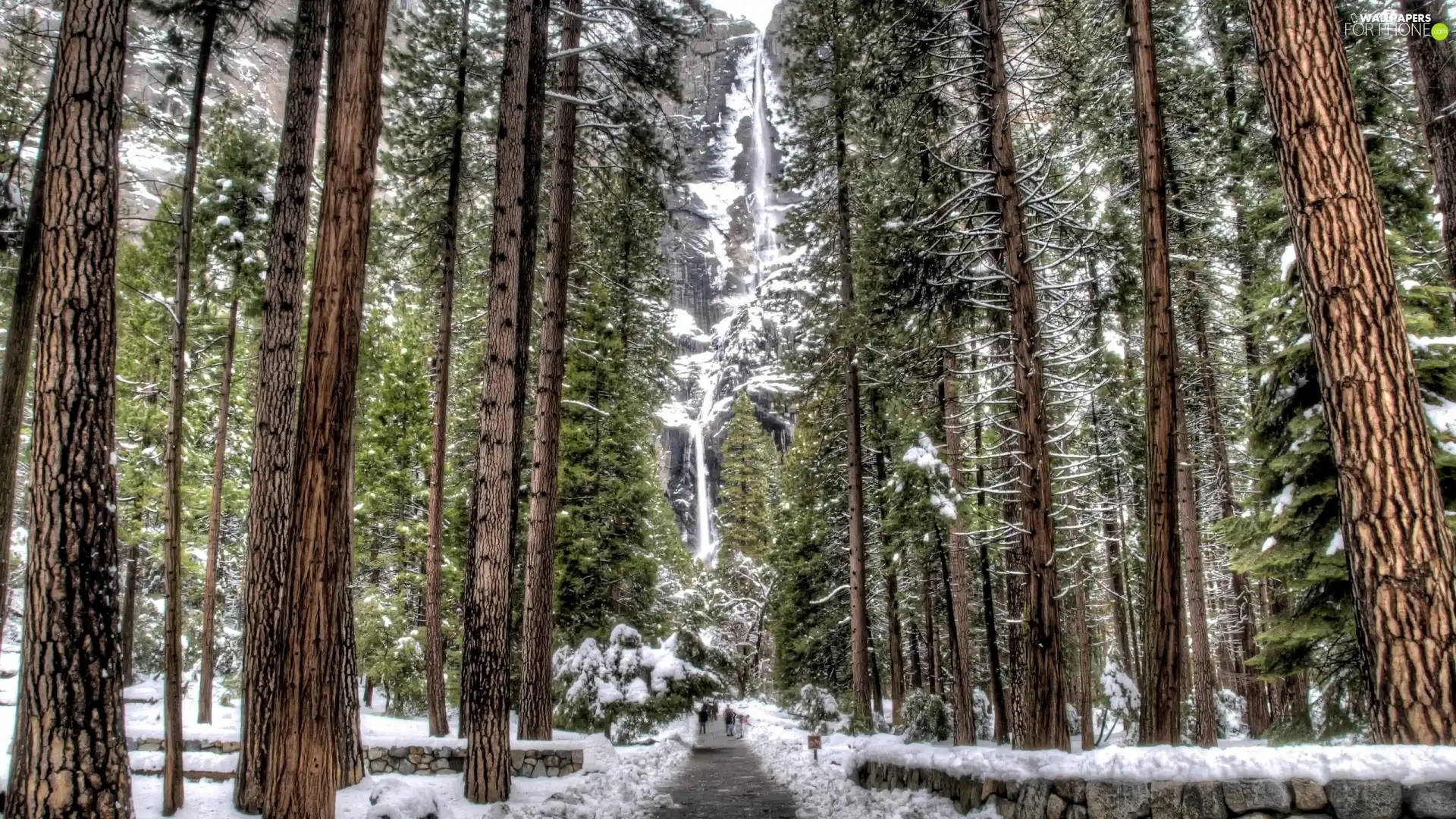 forest, winter, waterfall