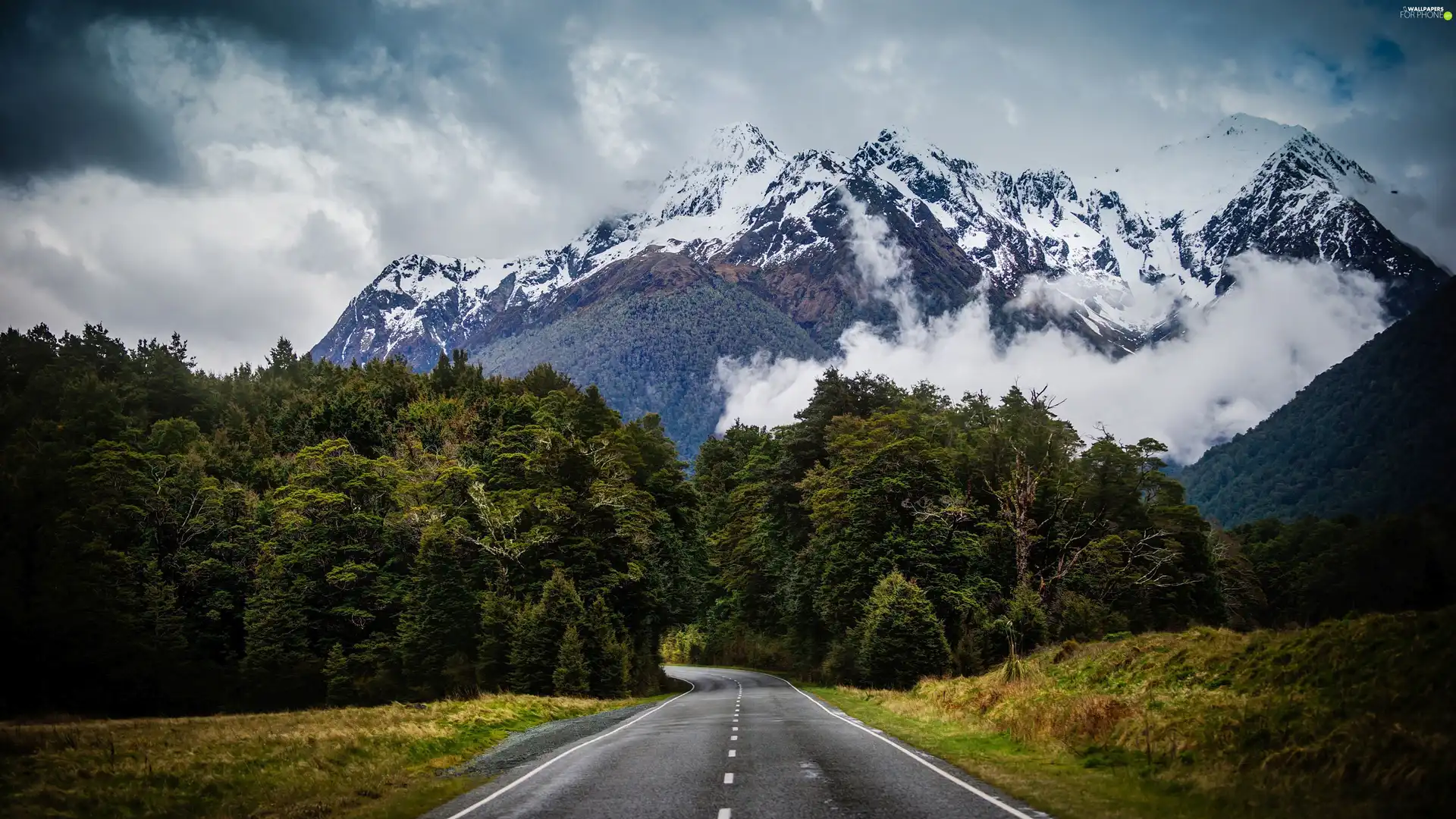 forest, Way, peaks, Mountains, Sky