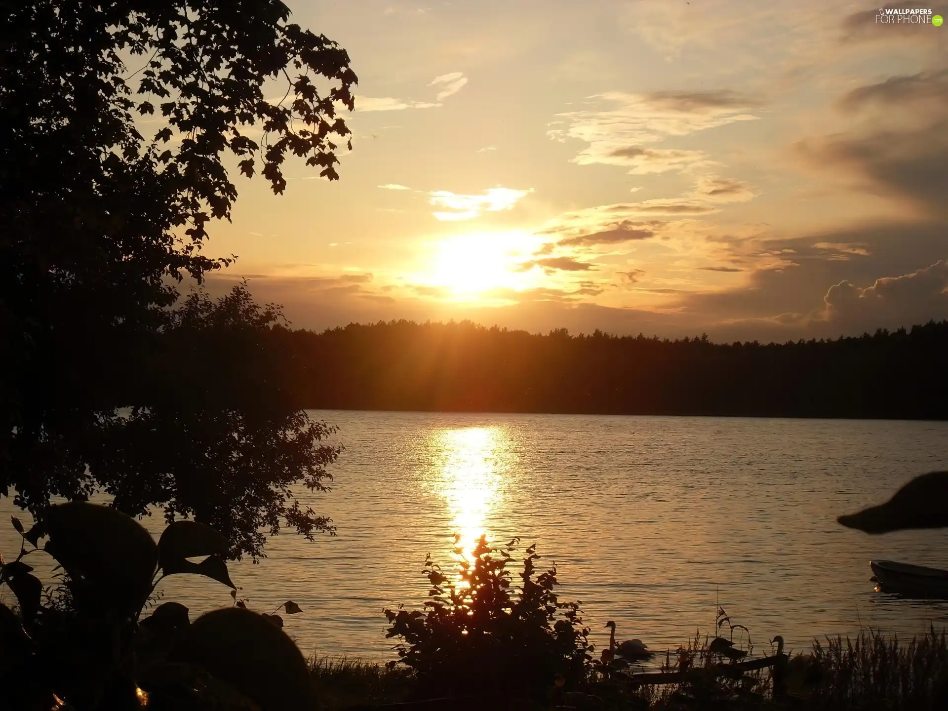 west, lake, forest, sun