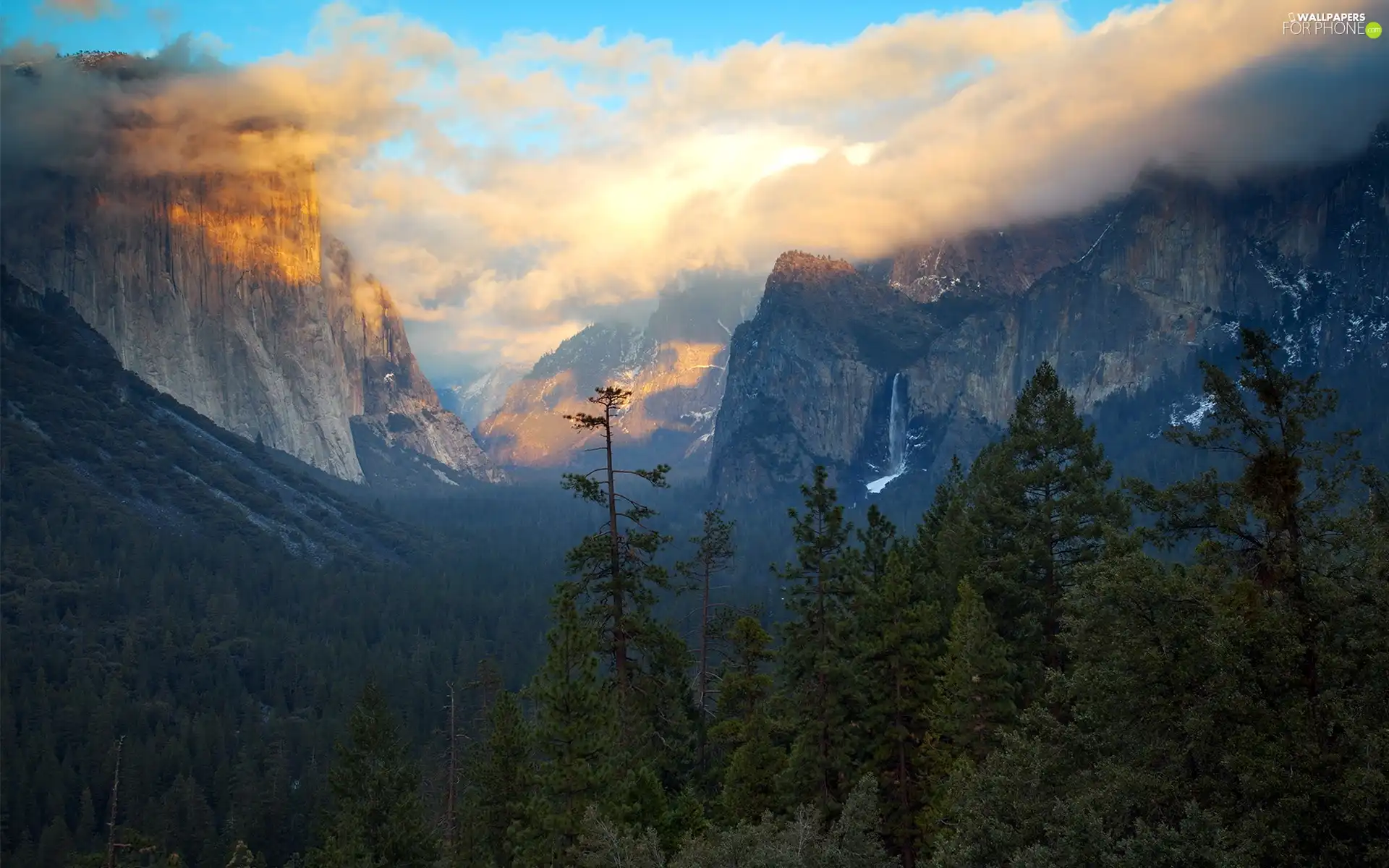 west, Mountains, forest, sun