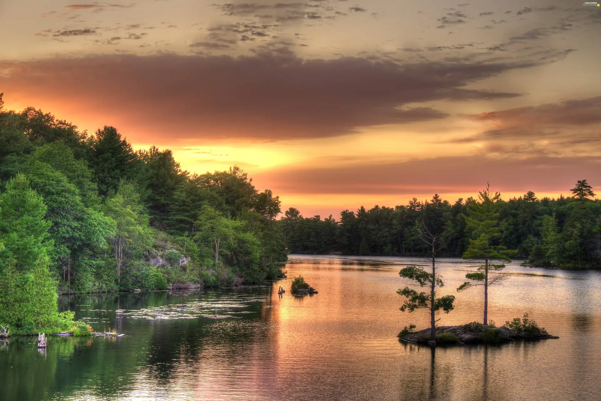 west, River, forest, sun