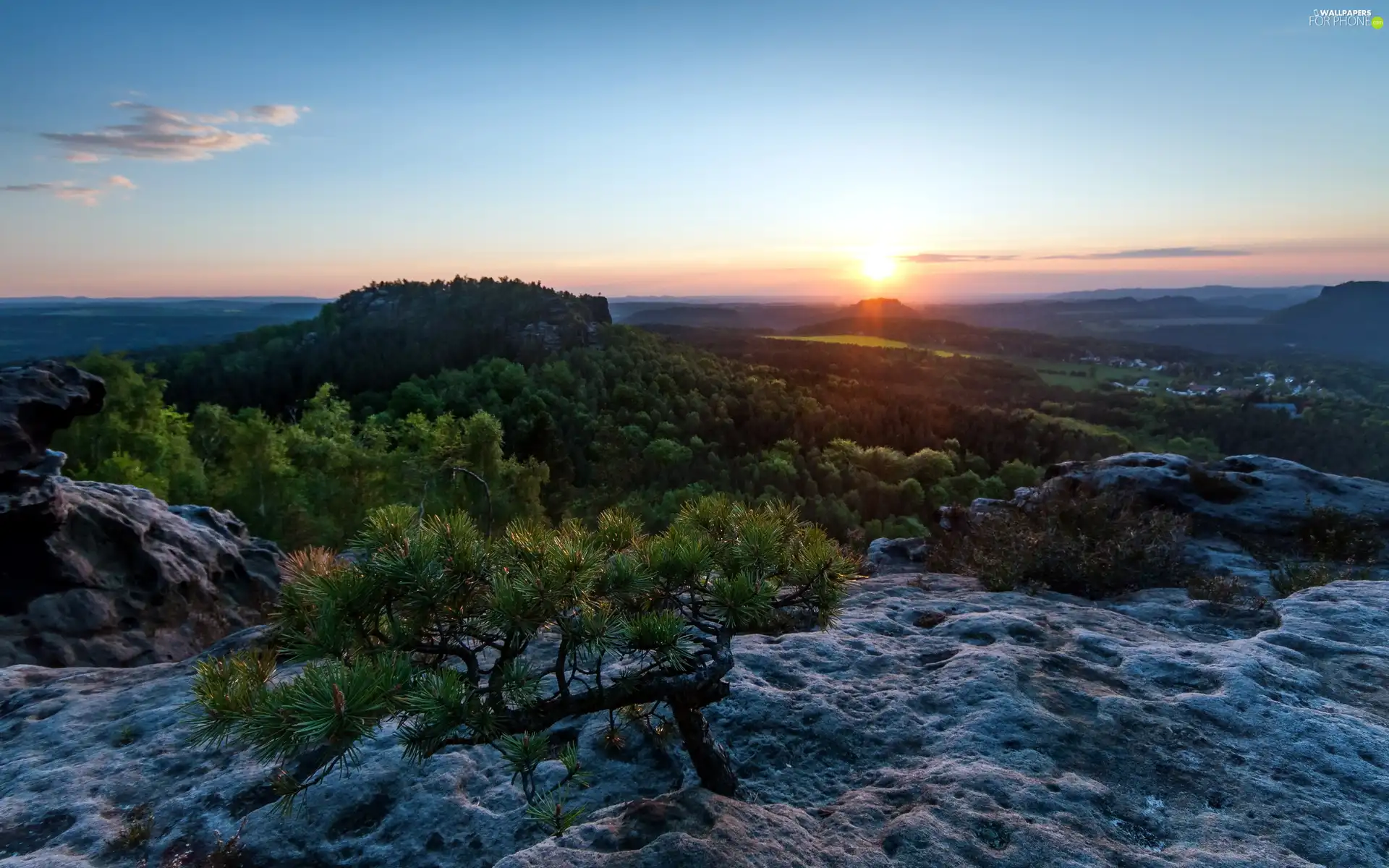 west, rocks, forest, sun