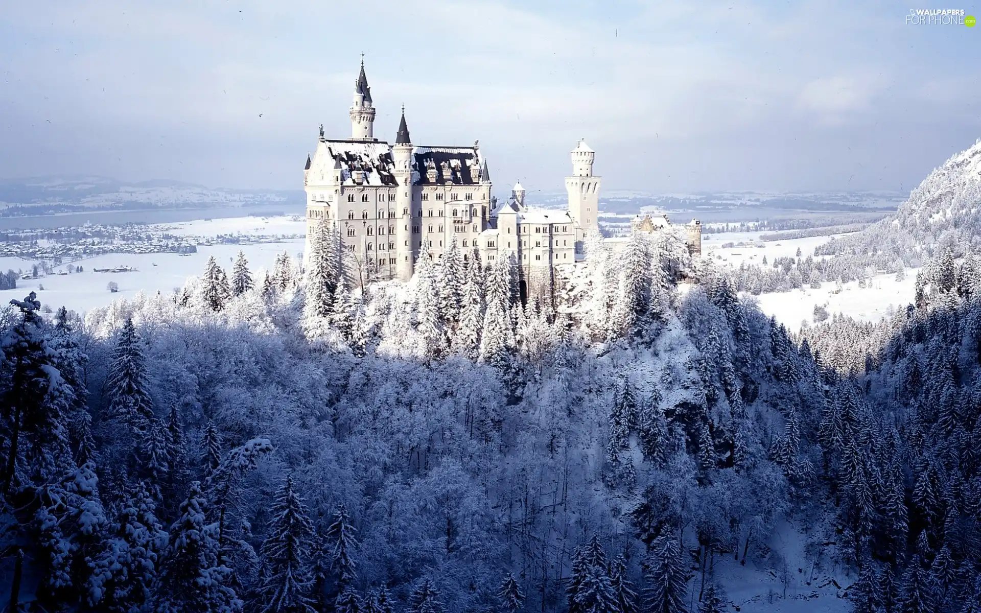forest, Castle, winter