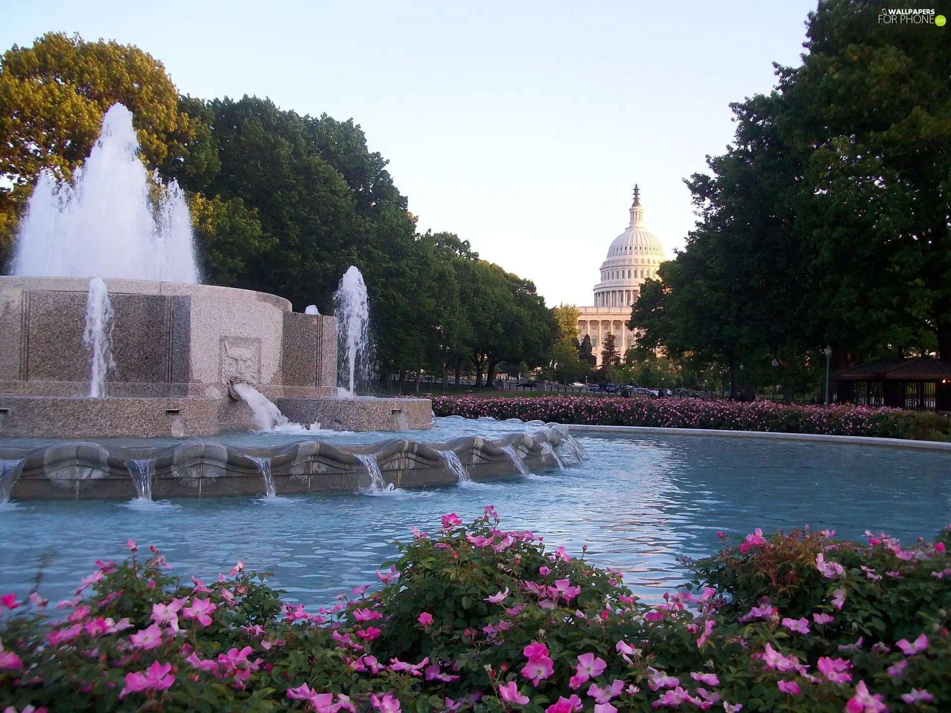 Beauty, fountain