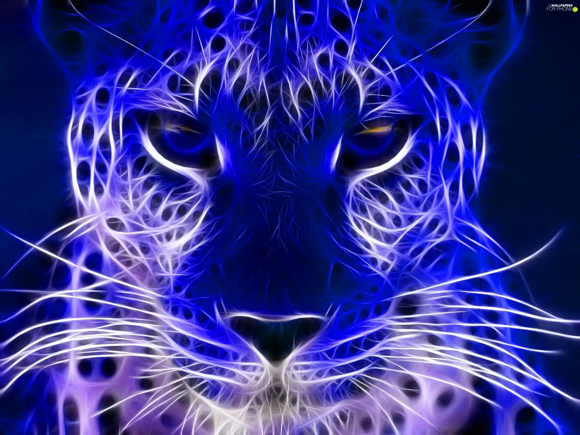 Leopards, Fractalius