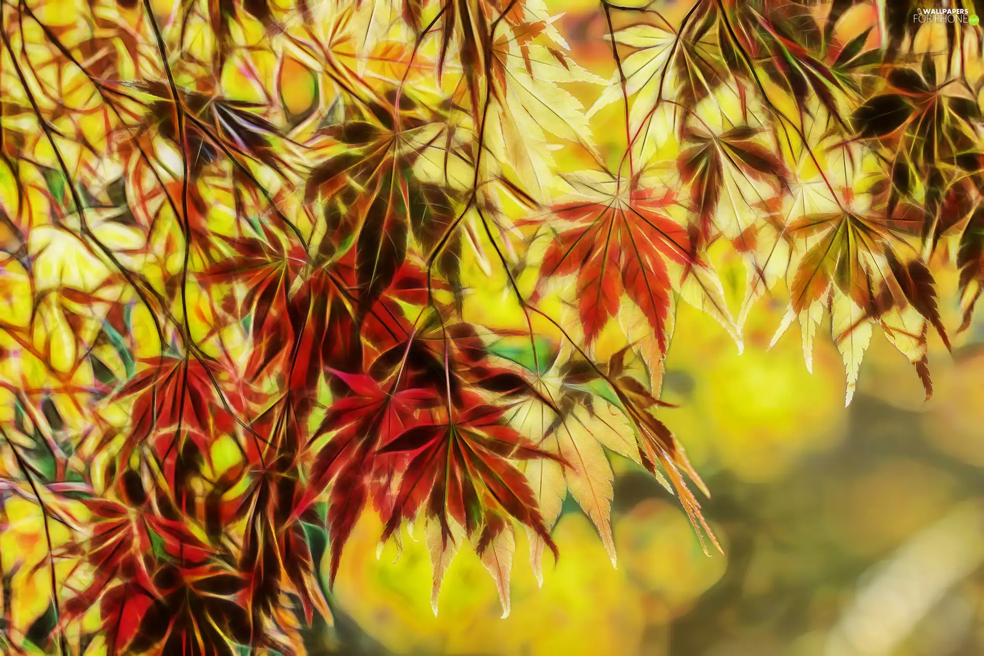 Fractalius, Leaf, maple