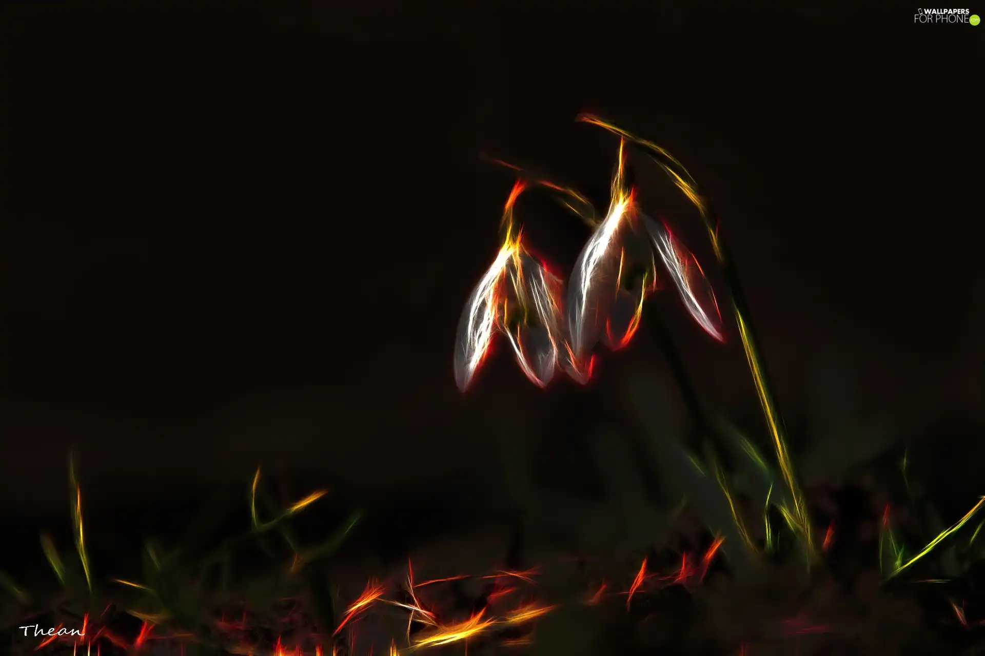 snowdrops, Fractalius