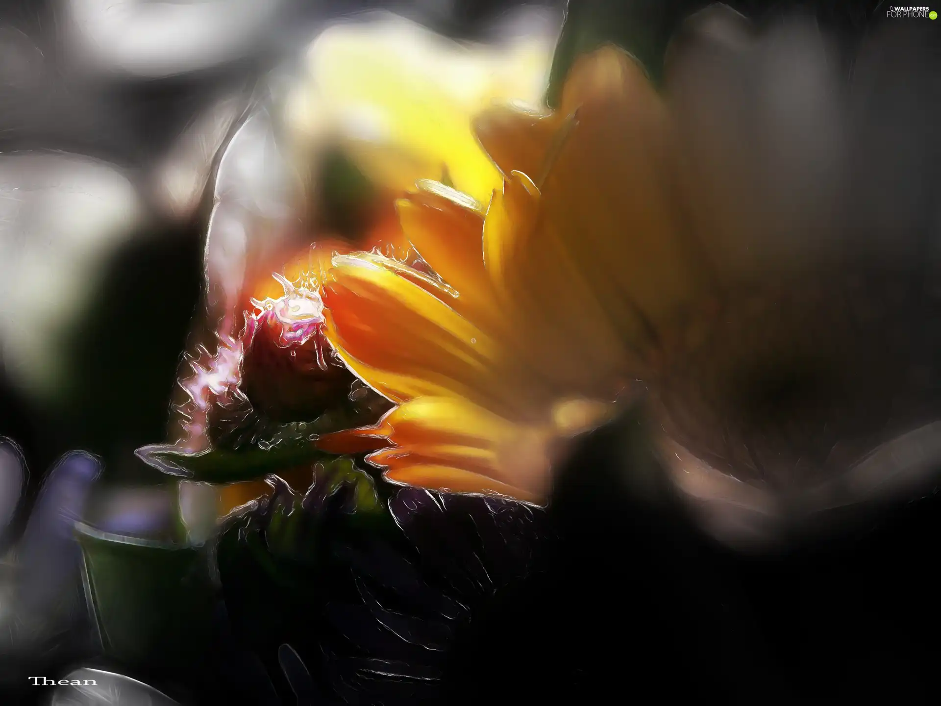 Fractalius, Flowers, Wildflowers