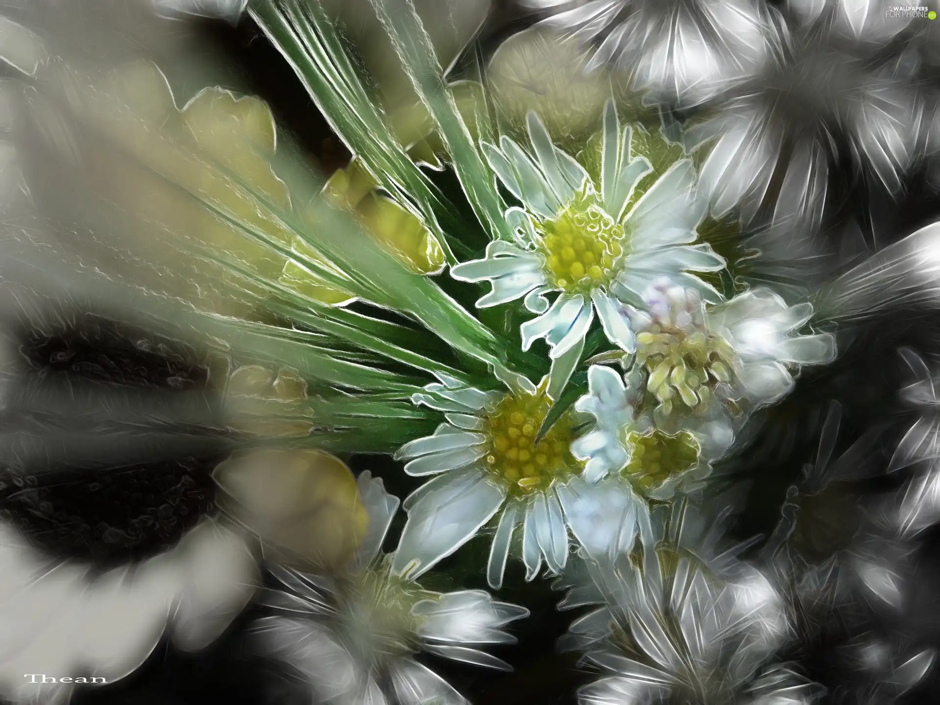 Fractalius, Flowers, Wildflowers