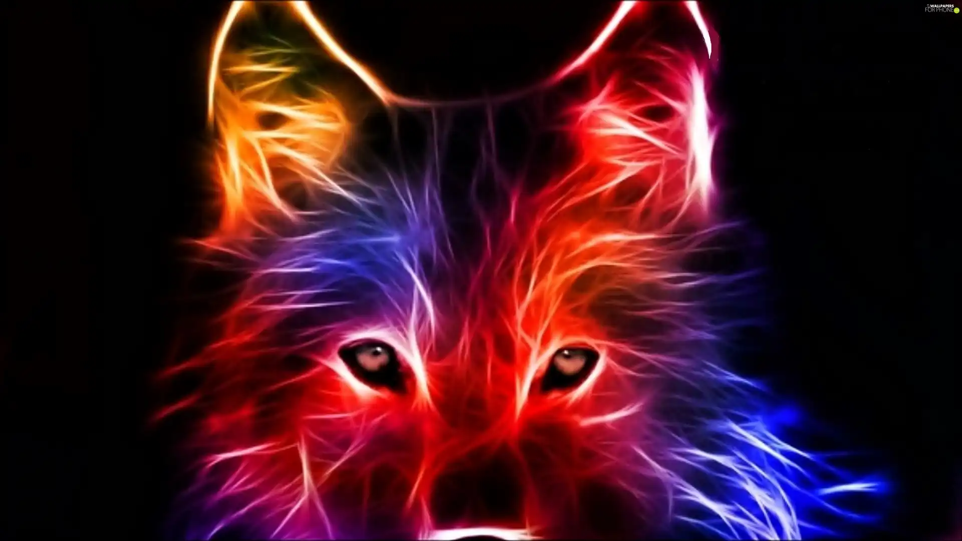 Wolf, Fractalius