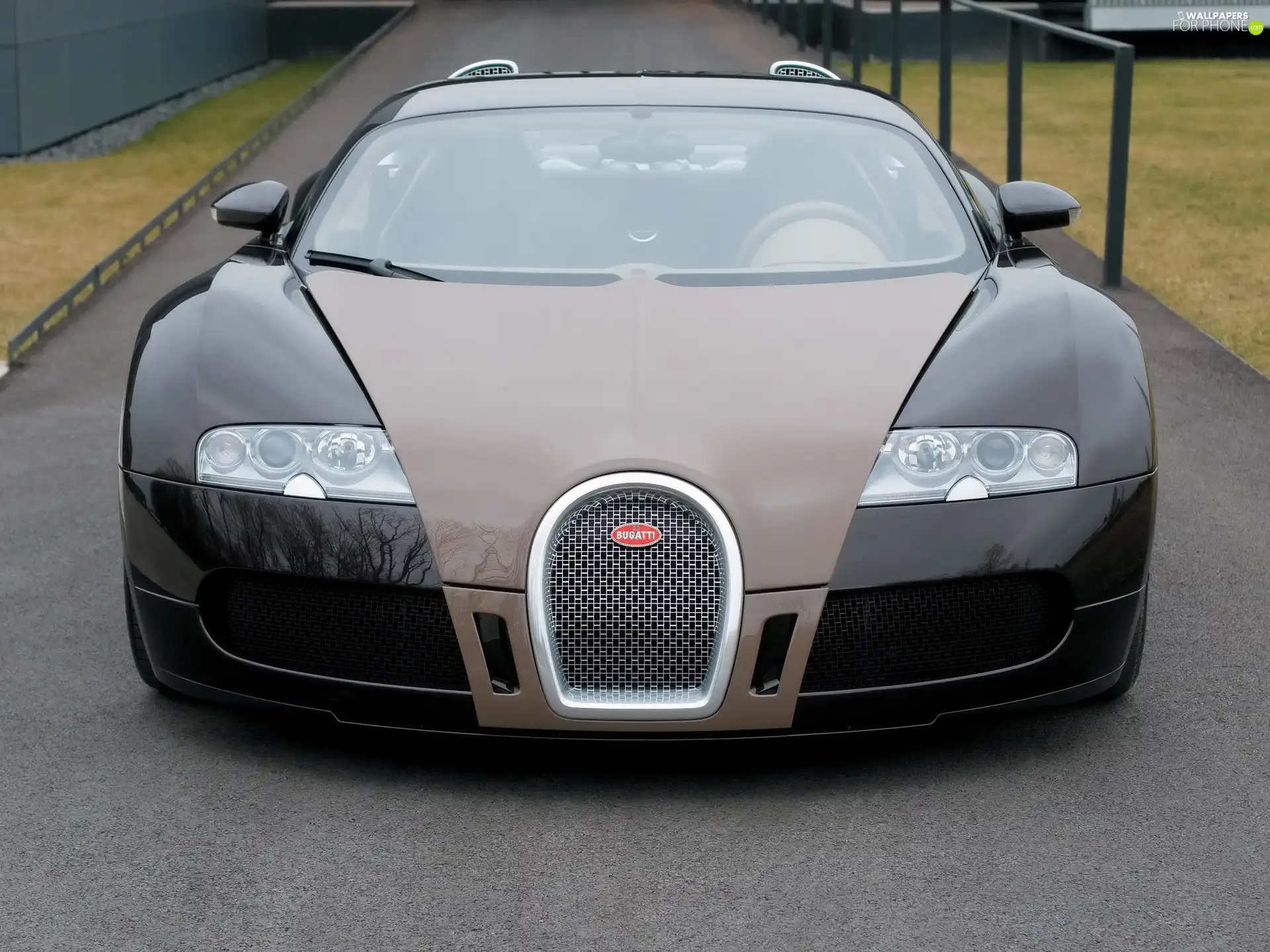 Bugatti Veyron, Brown, Front