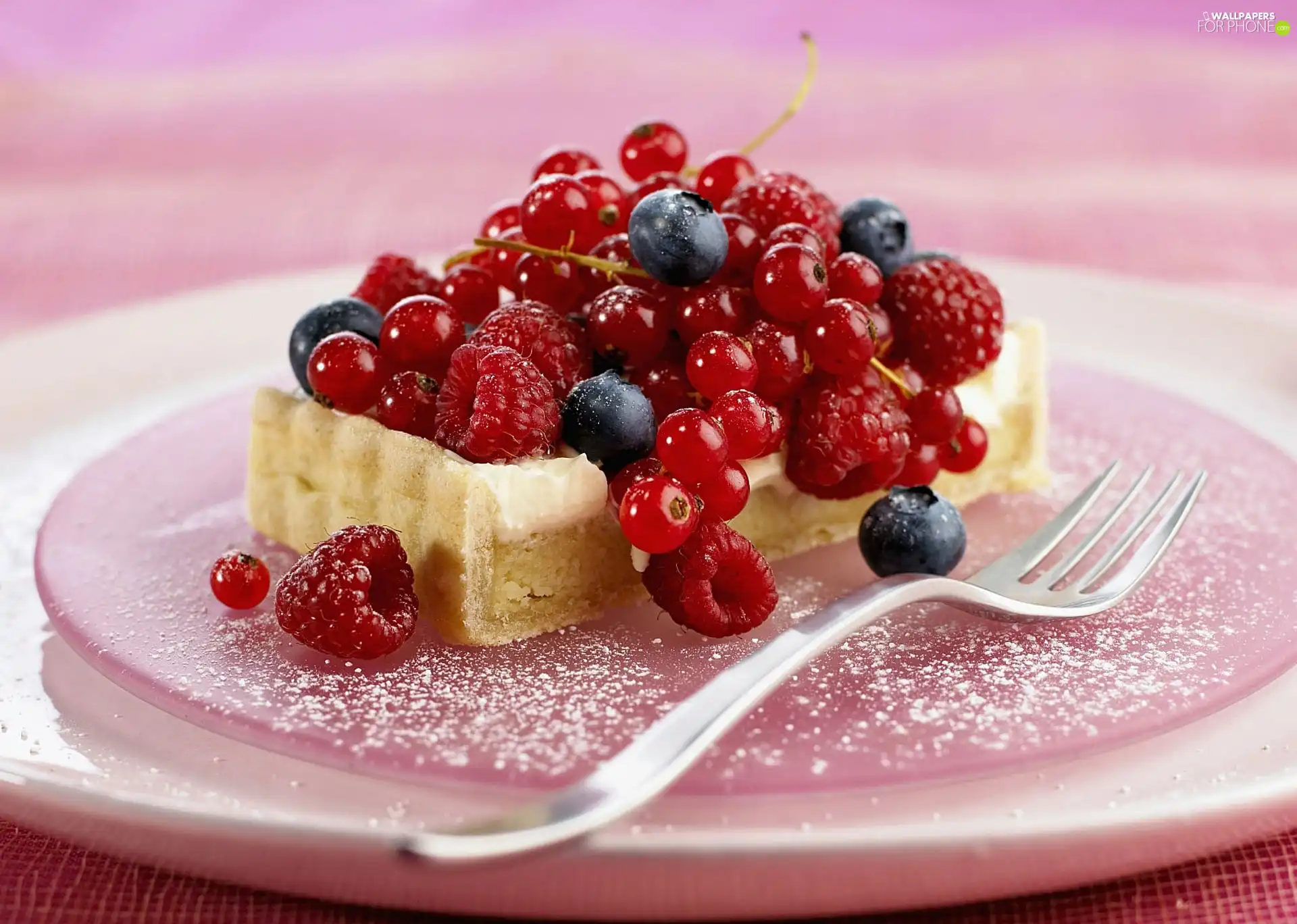 tart, fruit