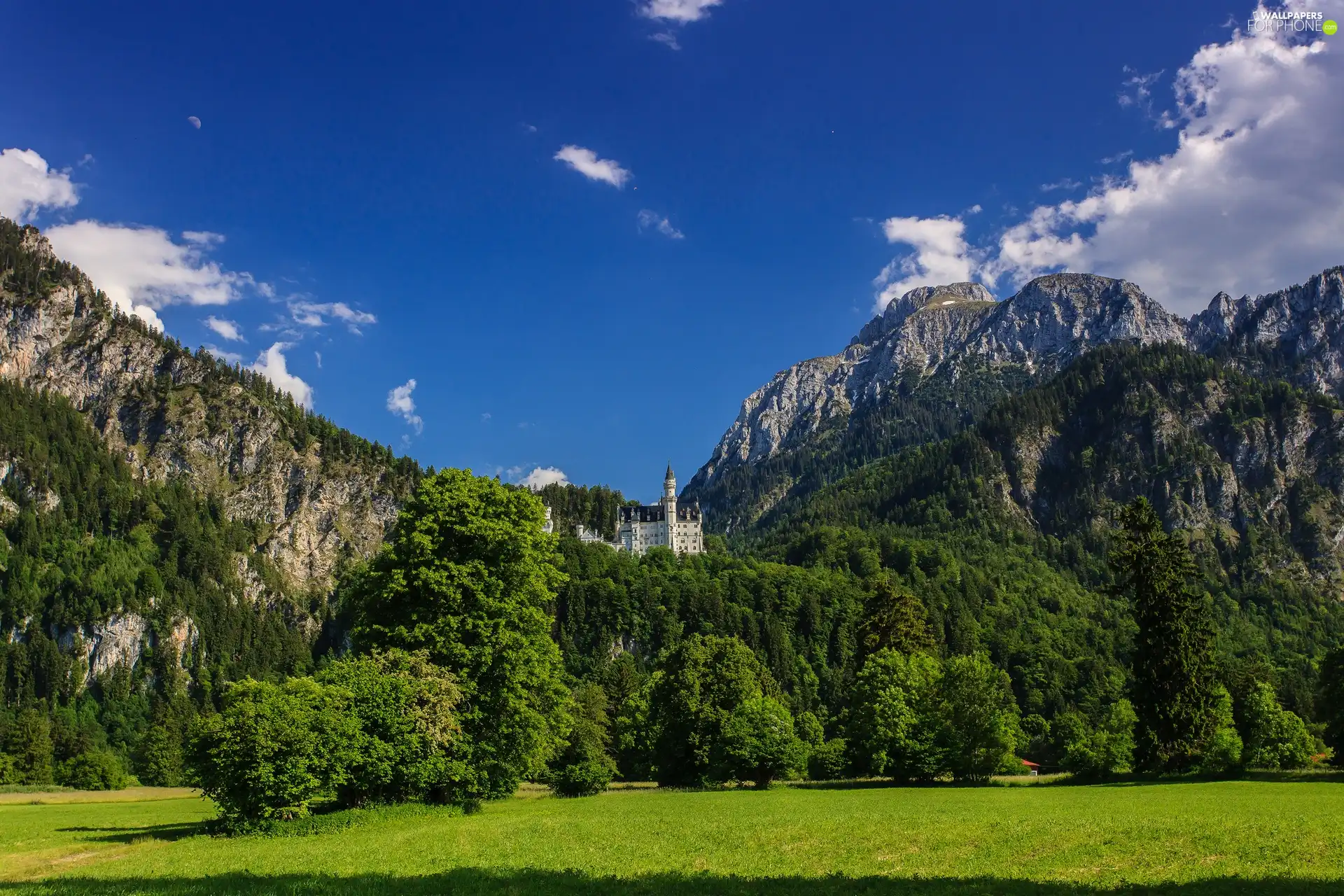 Castle, Bavaria, Germany, Neuschwanstein